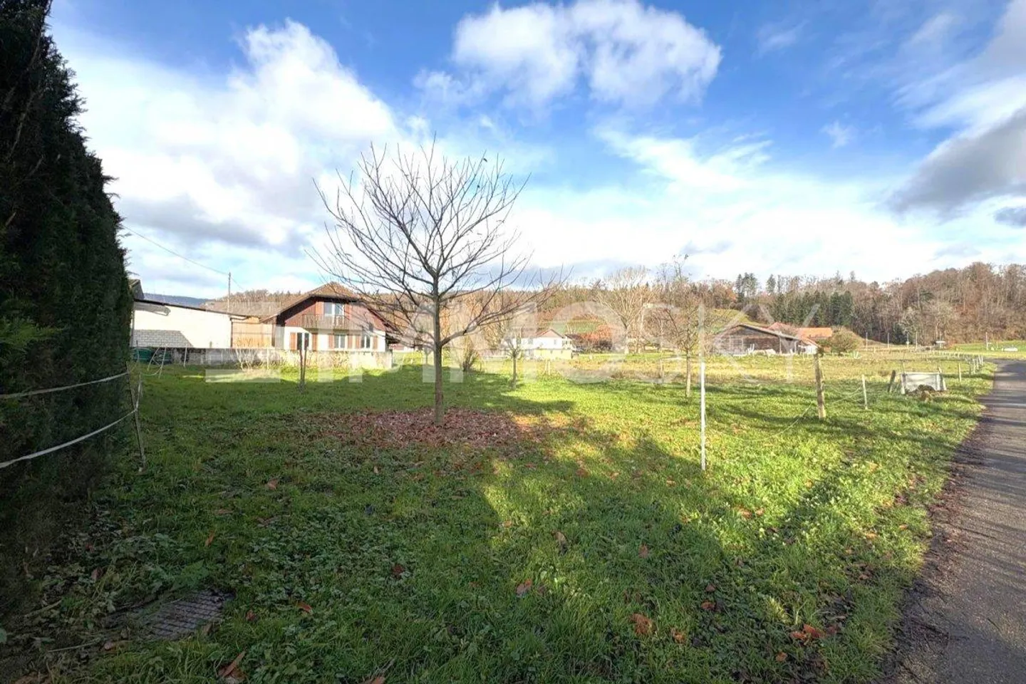 Hai l'idea - noi abbiamo il terreno - Foto 1 di 5