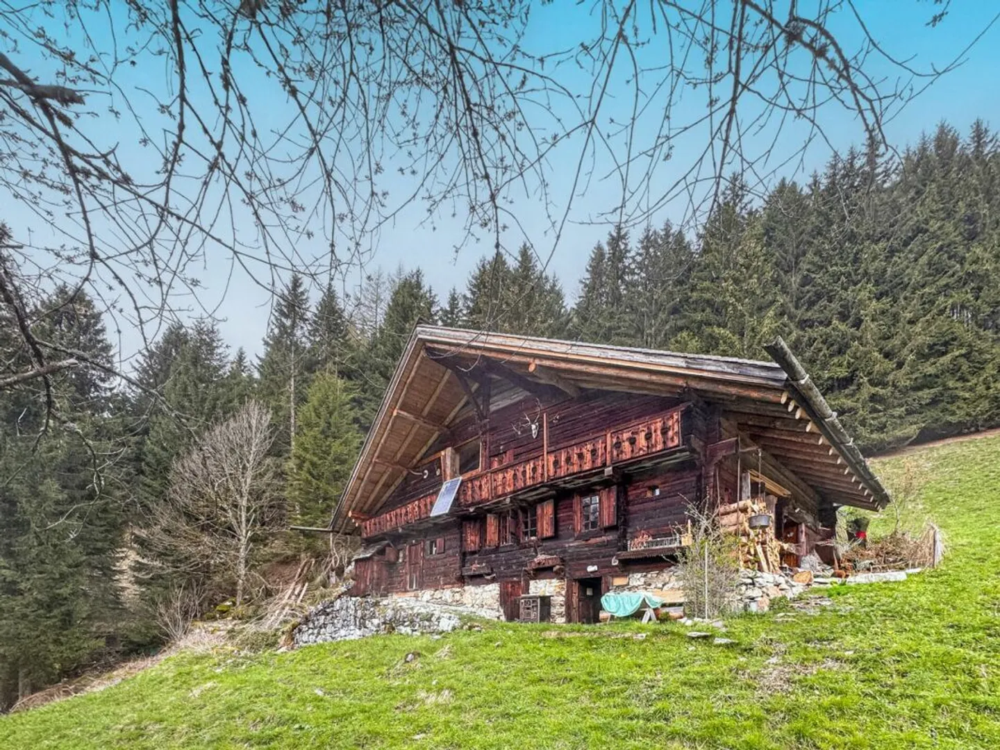 Rare Object - Chalet with 7.5 Rooms, Embedded in 28,000 m² of Forest and Meadow. - Photo 1 of 18