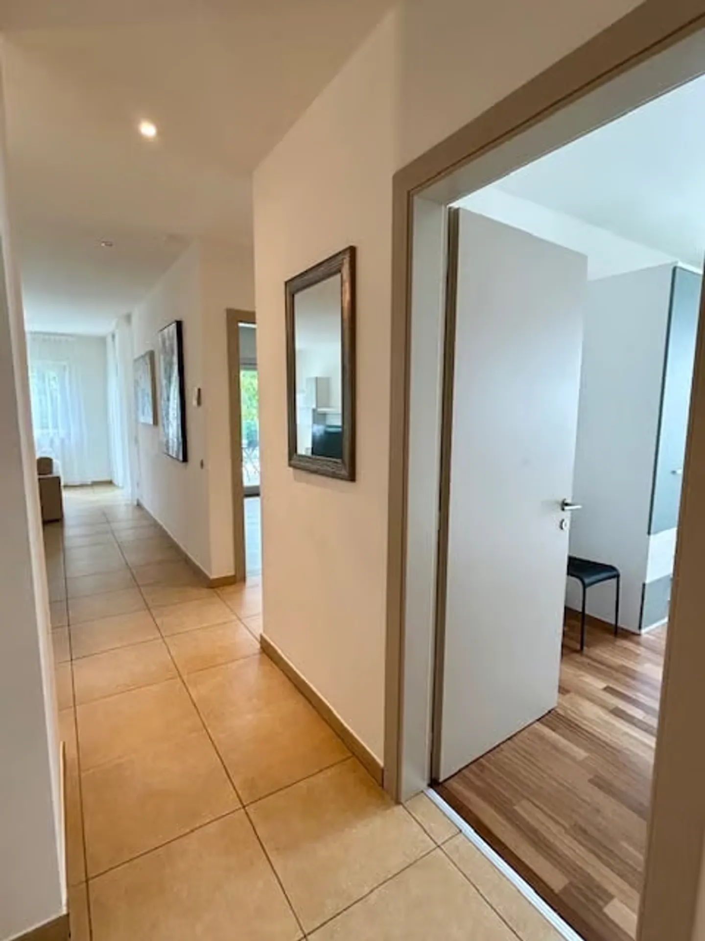 Zona Cassarate - 3.5 Room Furnished - Photo 16 of 21