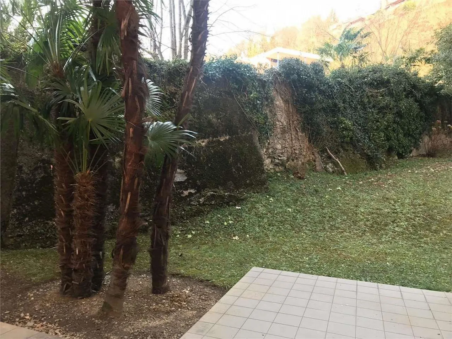 Castagnola, excellent 2.5 with private patio - Photo 8 of 13