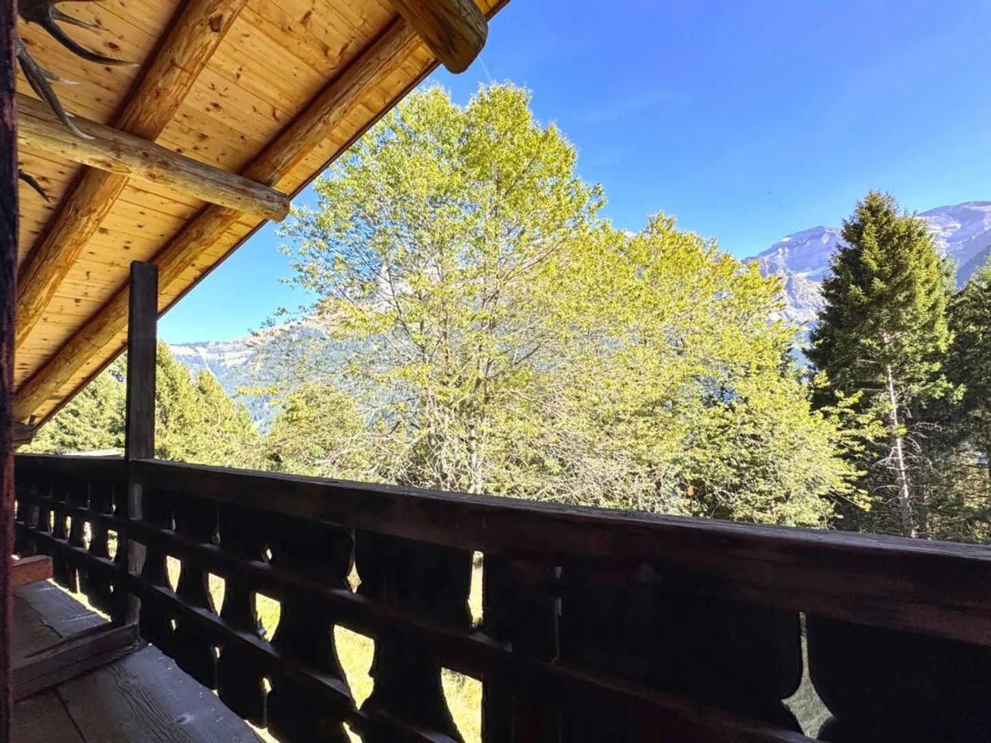 Rare Object - Chalet with 7.5 Rooms, Embedded in 28,000 m² of Forest and Meadow. - Photo 10 of 18
