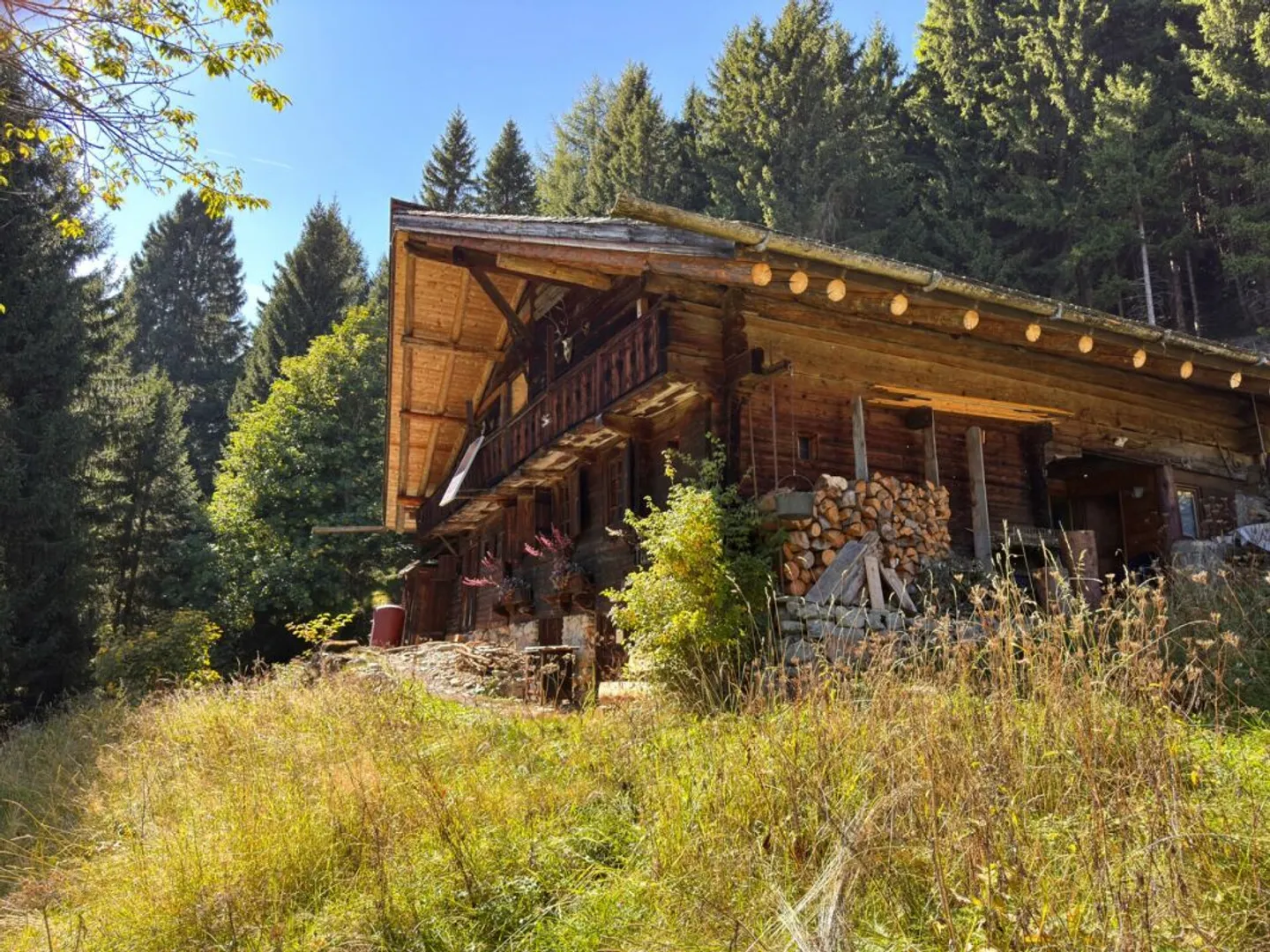 Rare Object - Chalet with 7.5 Rooms, Embedded in 28,000 m² of Forest and Meadow. - Photo 15 of 18
