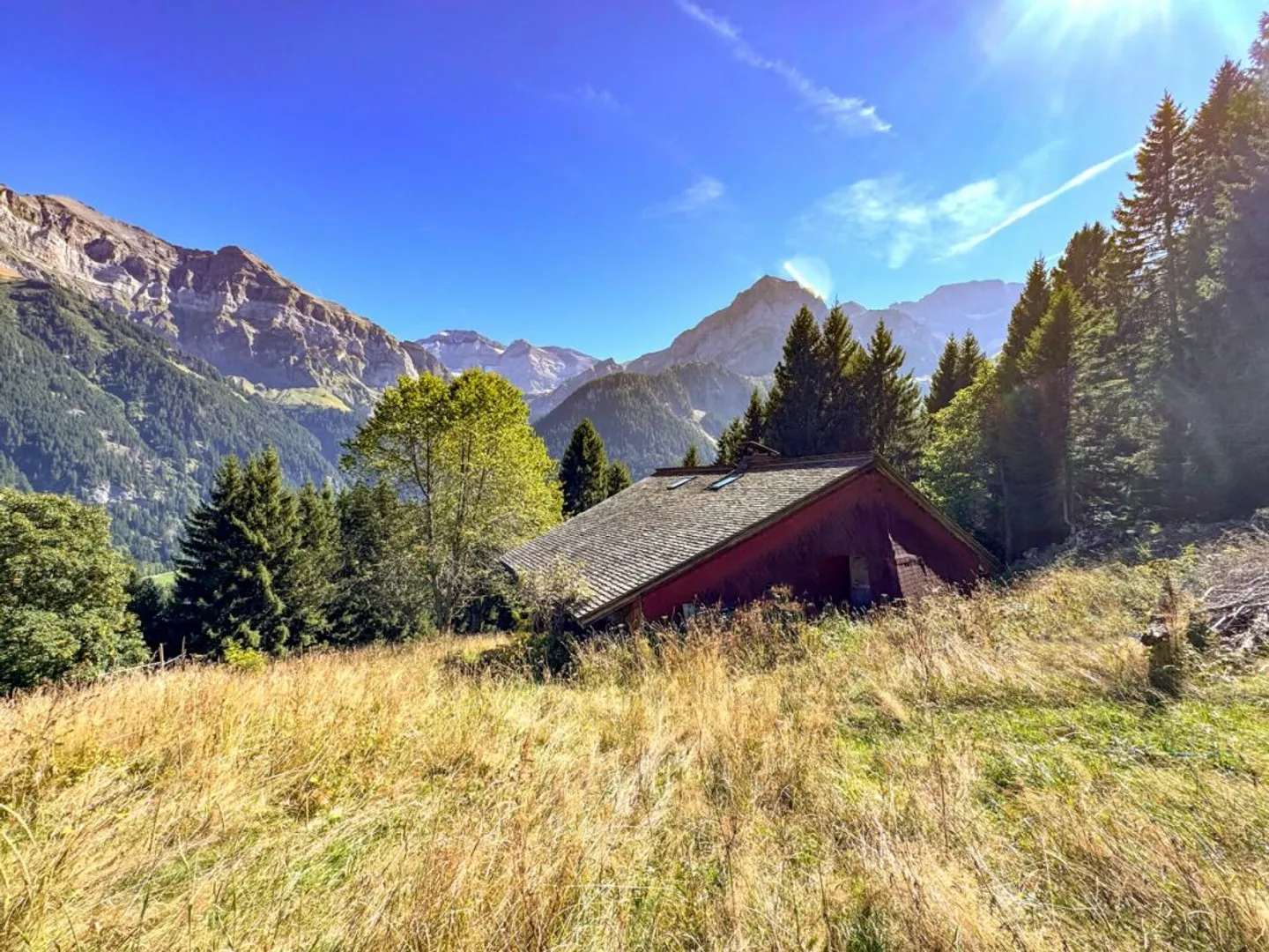 Rare Object - Chalet with 7.5 Rooms, Embedded in 28,000 m² of Forest and Meadow. - Photo 16 of 18