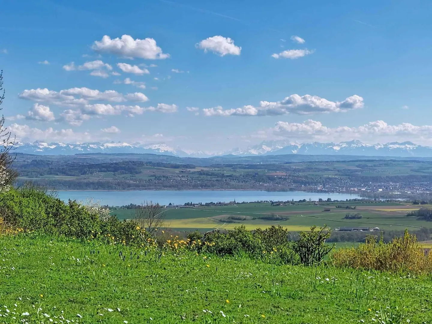 Einzigartiges Anwesen mit Seeblick - Foto 11 von 13