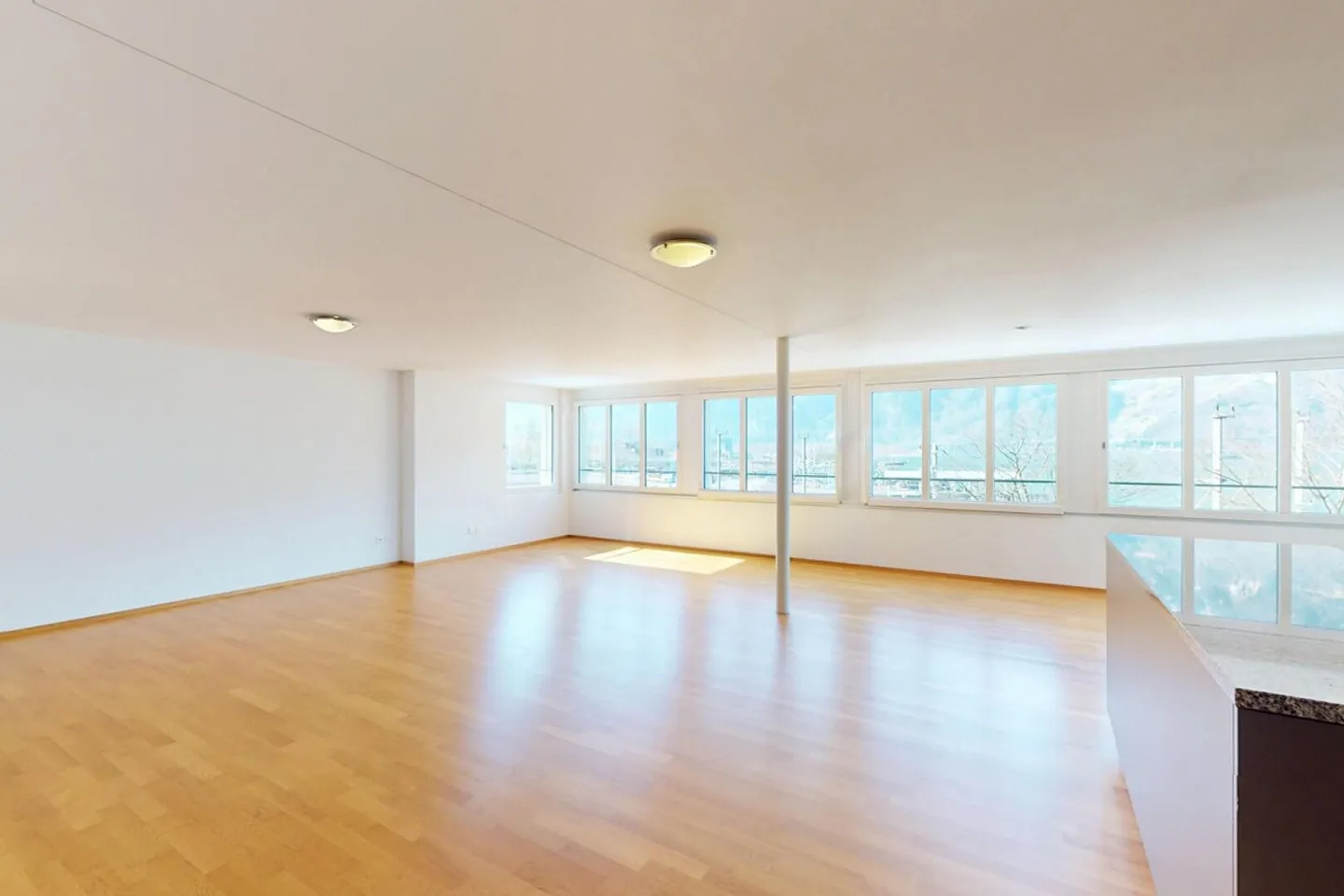 Attractive 5.5-room apartment with stunning views - Photo 4 of 9