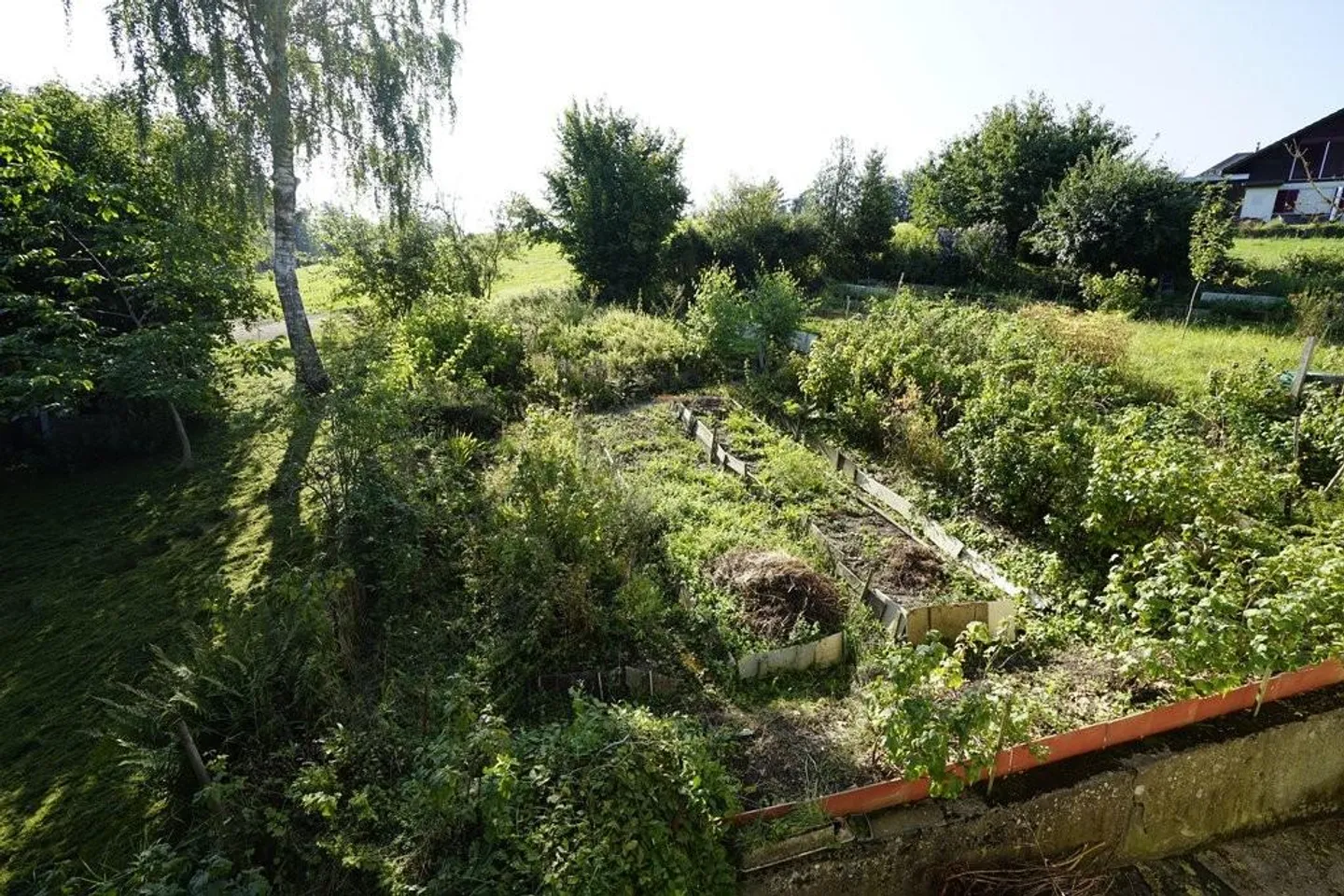 heimelige 2.5-Zimmer-Wohnung zu vermieten - Foto 6 von 6