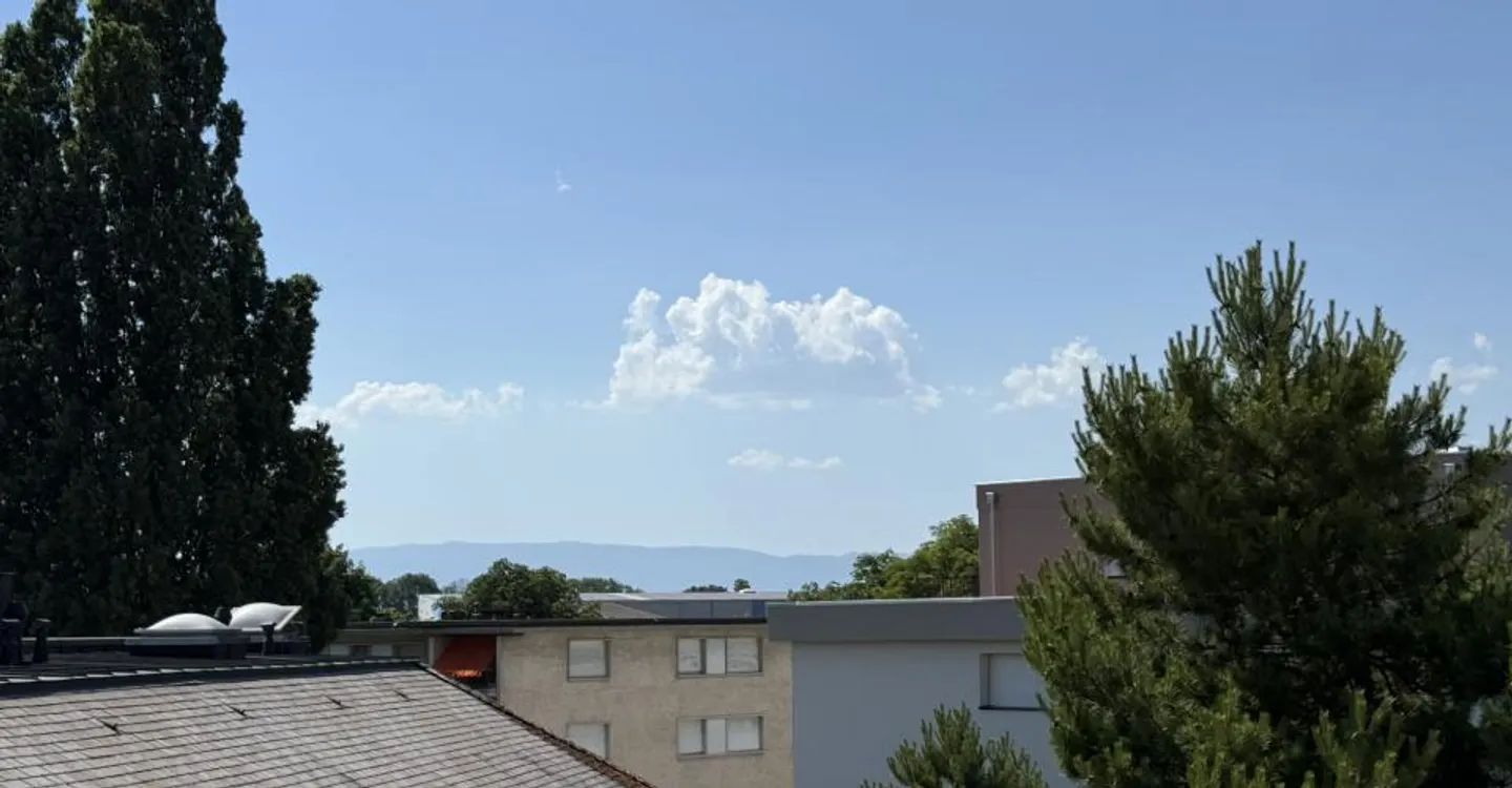 Wunderschöne 4,5 Zimmer von 101 m2 mit Balkon in Lausanne - Foto 2 von 12