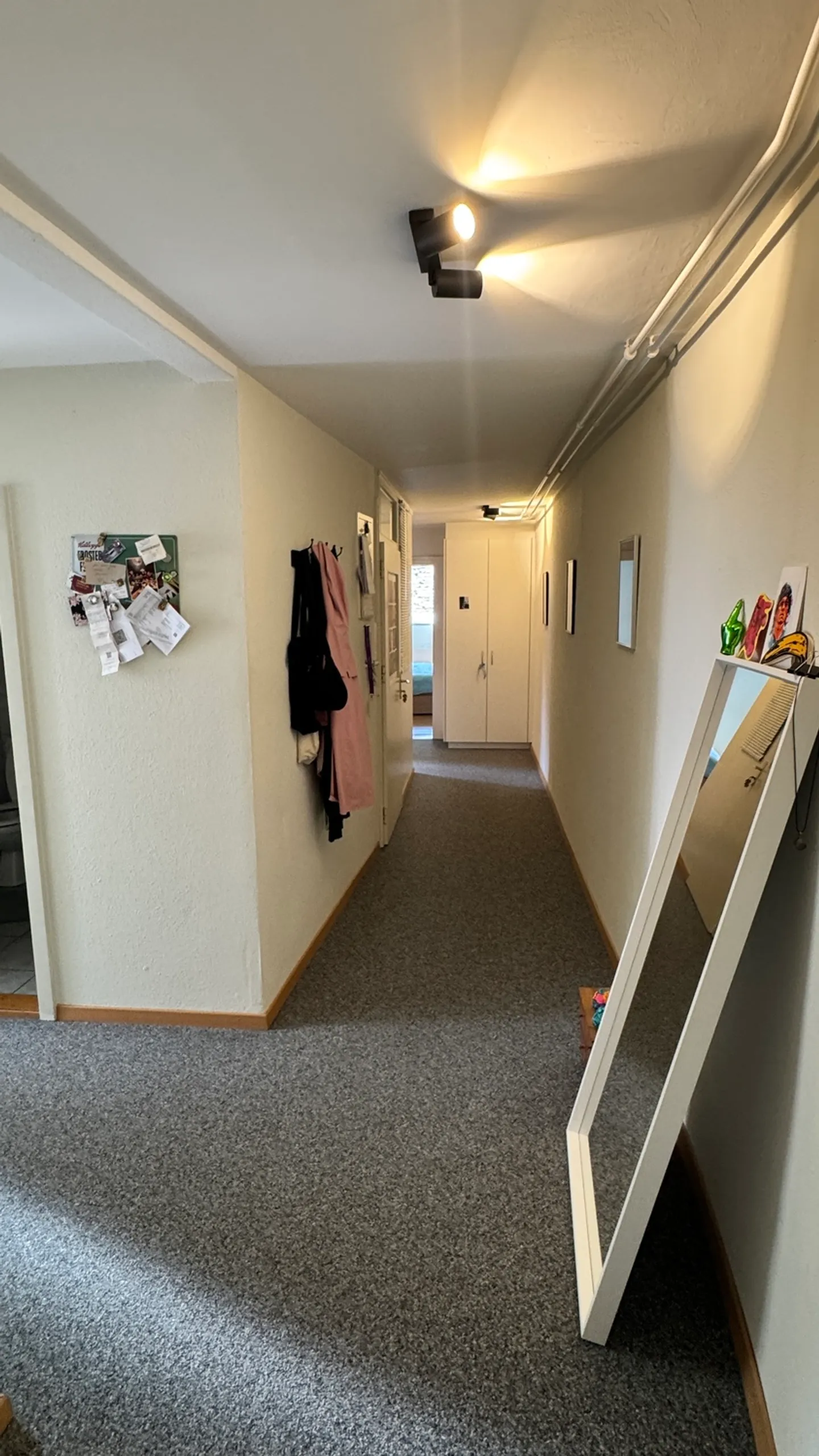 APPARTAMENTO 3 LOCALI A SCHAFFHAUSEN, ARREDATO, TEMPORANEO - Foto 3 di 7