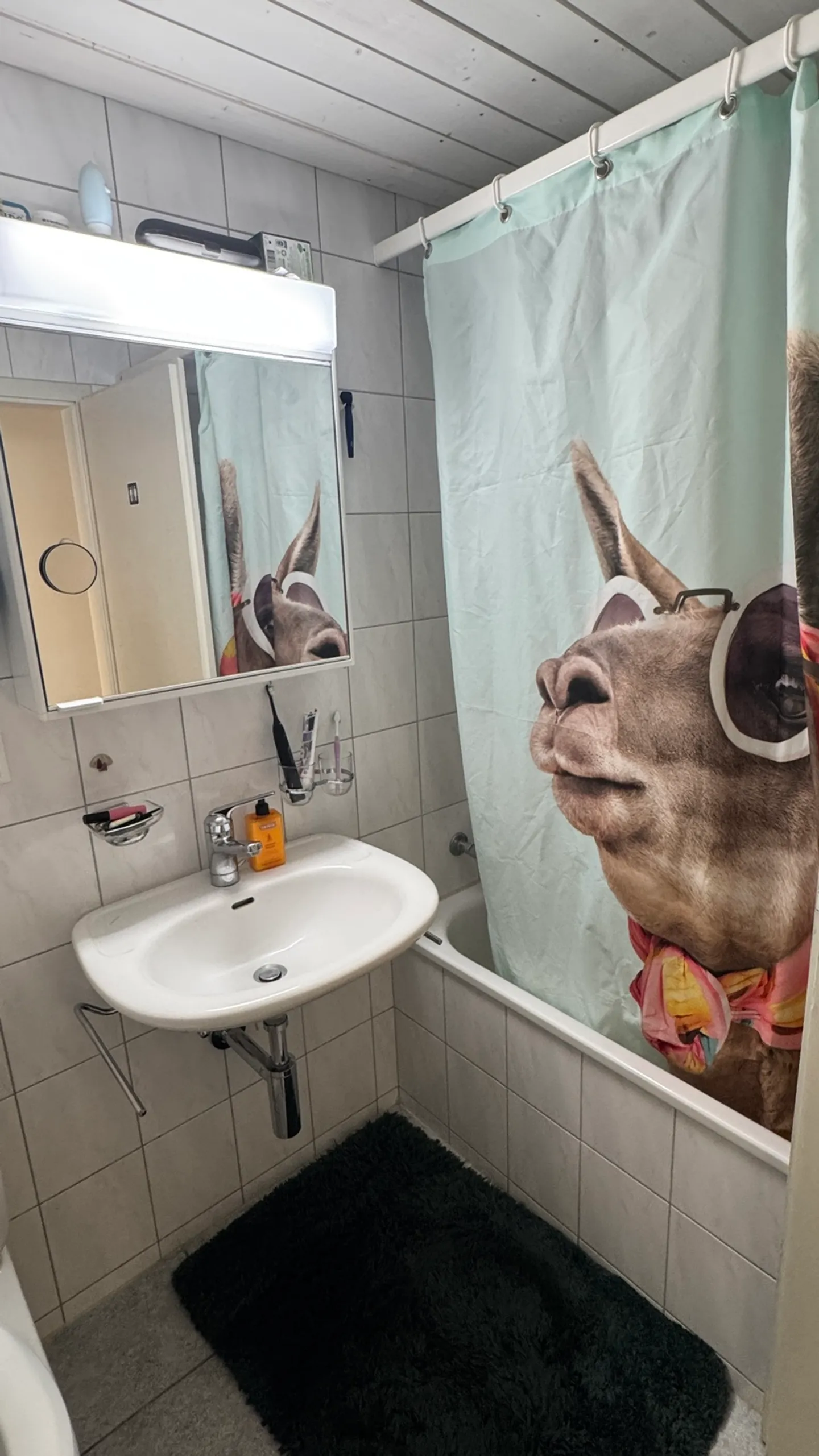 APPARTAMENTO 3 LOCALI A SCHAFFHAUSEN, ARREDATO, TEMPORANEO - Foto 4 di 7