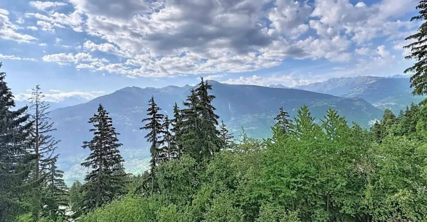 Stunning Duplex with Alpine Views - Photo 2 of 12
