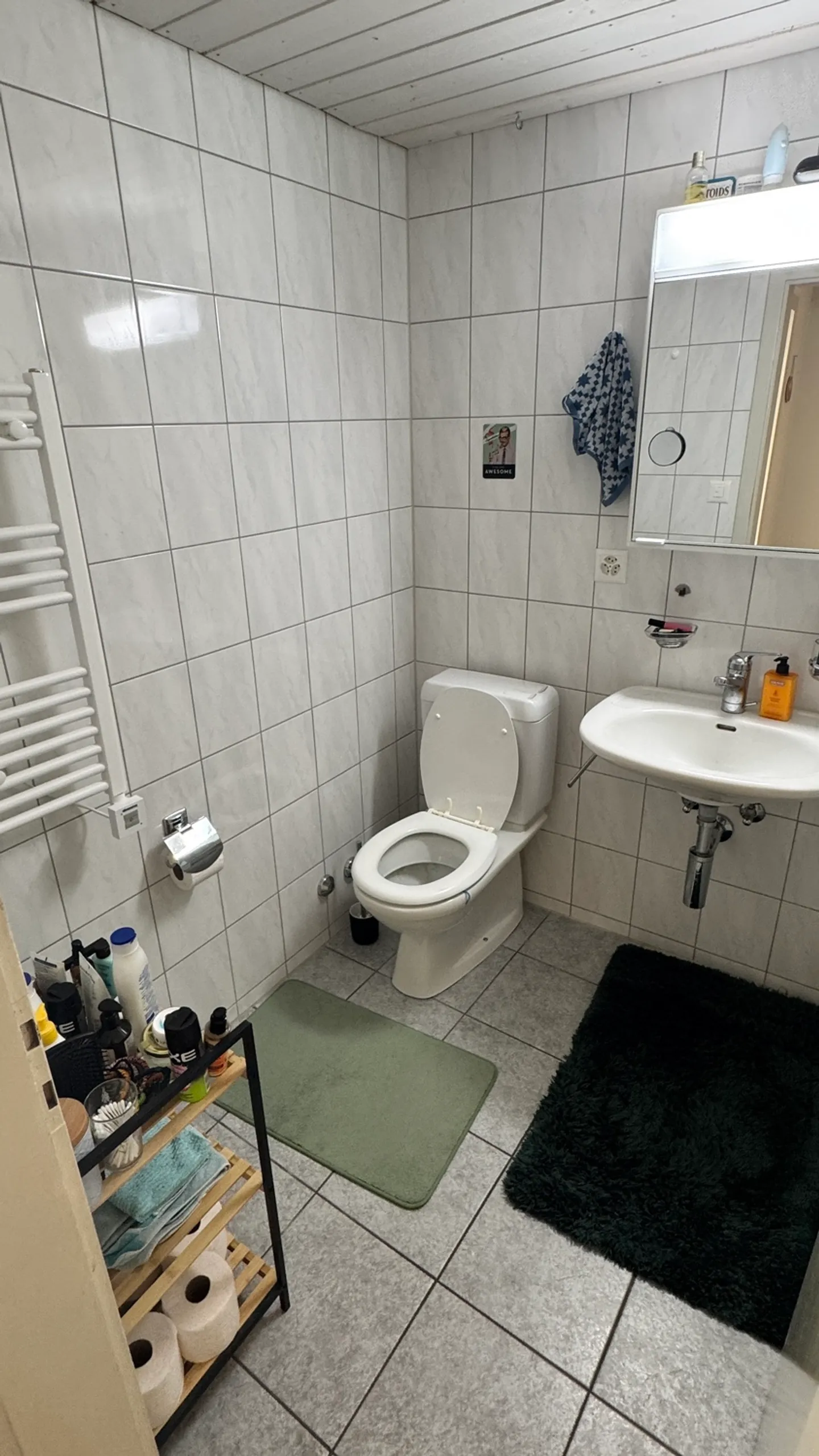 APPARTAMENTO 3 LOCALI A SCHAFFHAUSEN, ARREDATO, TEMPORANEO - Foto 5 di 7