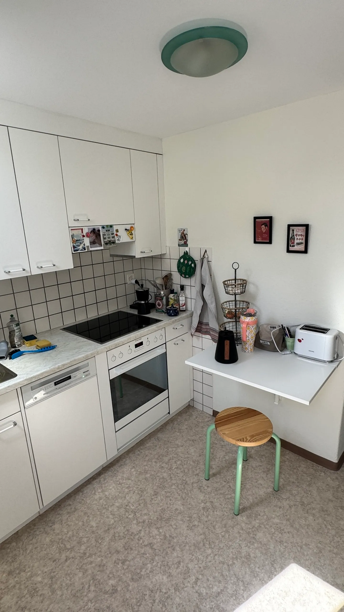 APPARTAMENTO 3 LOCALI A SCHAFFHAUSEN, ARREDATO, TEMPORANEO - Foto 6 di 7