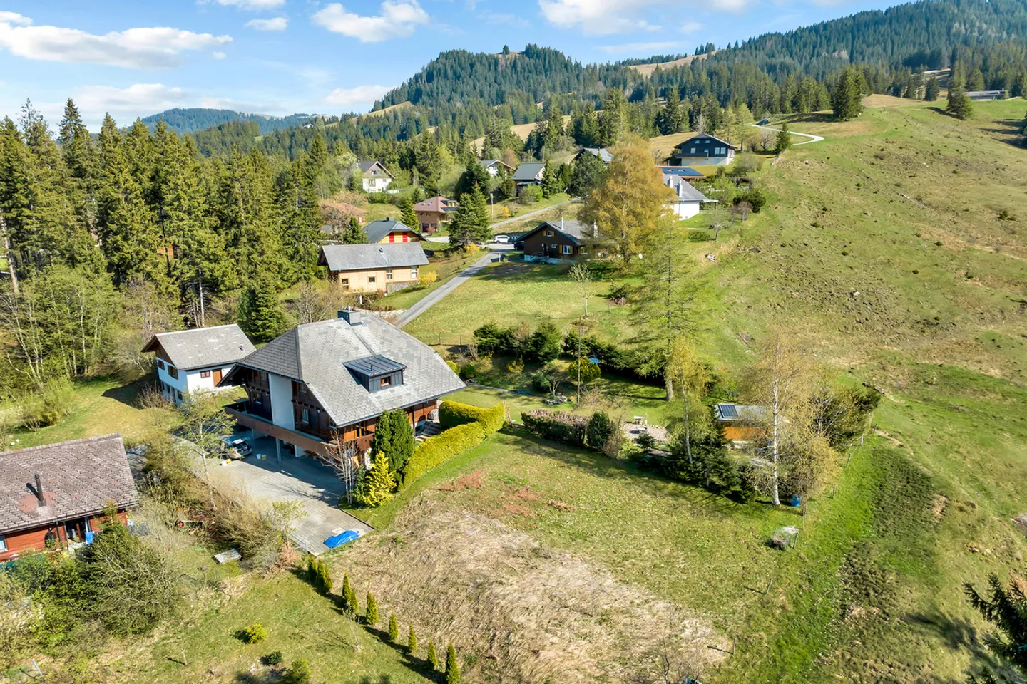 Beautiful Living in the Gantrisch Nature Park - Photo 10 of 11