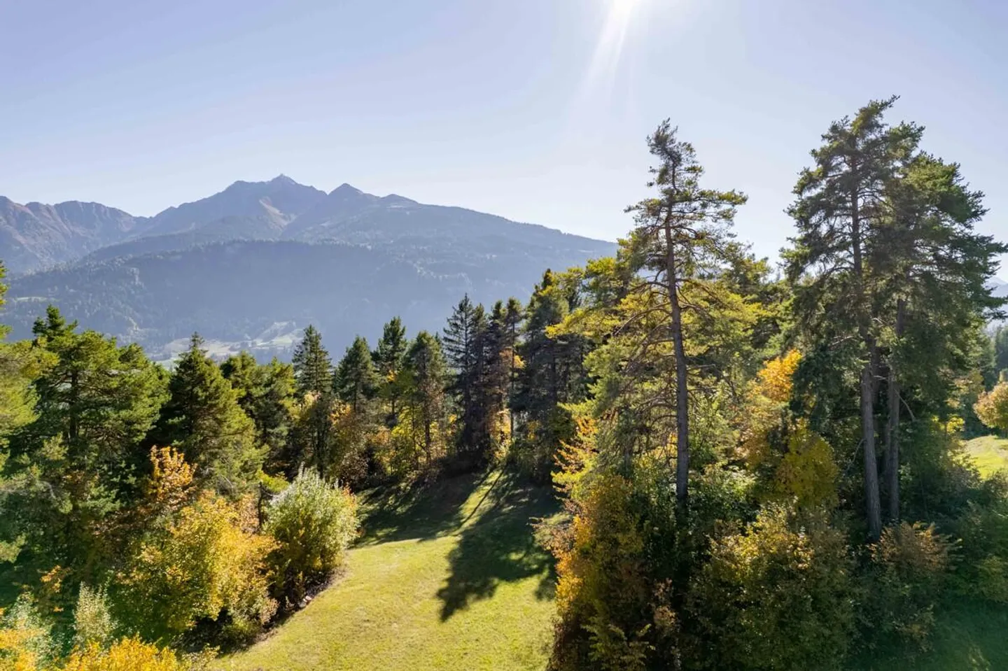 Sunny building land in a quiet forest edge location - Photo 3 of 4