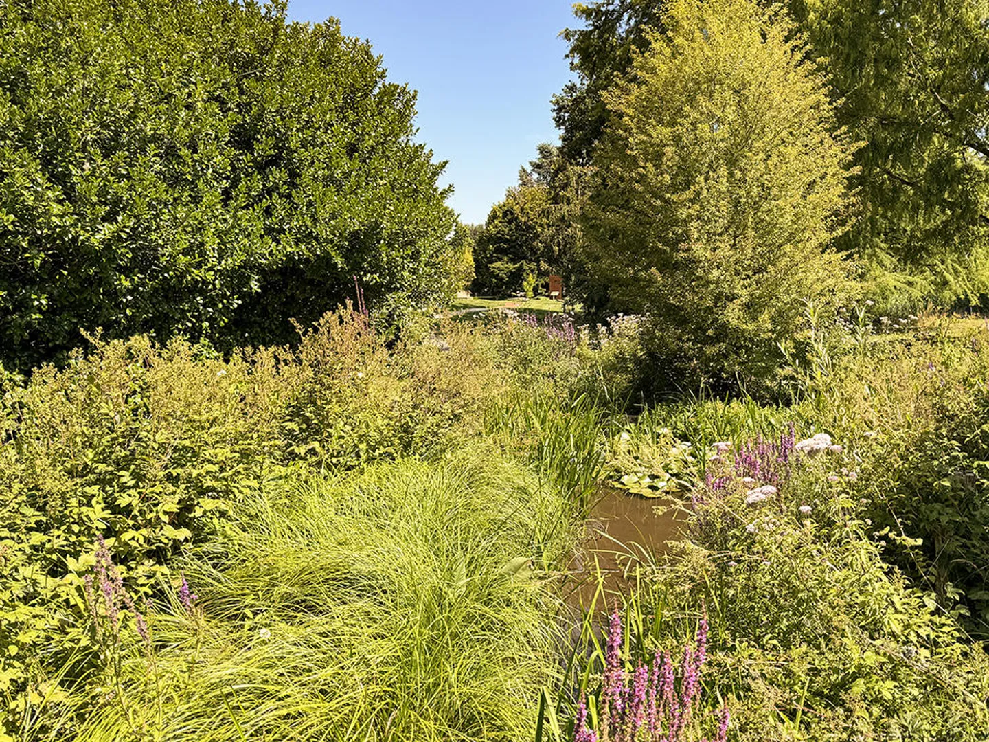 Villa 7,5 stanze - Foto 3 di 3