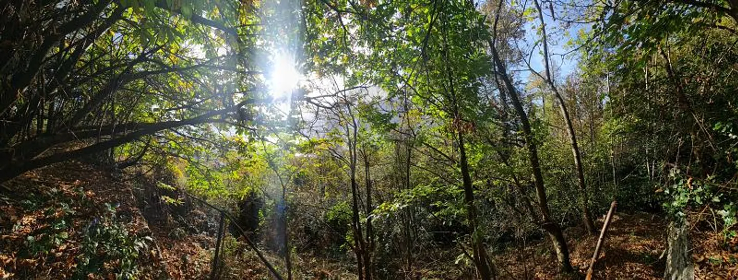 With spectacular views - Photo 1 of 4