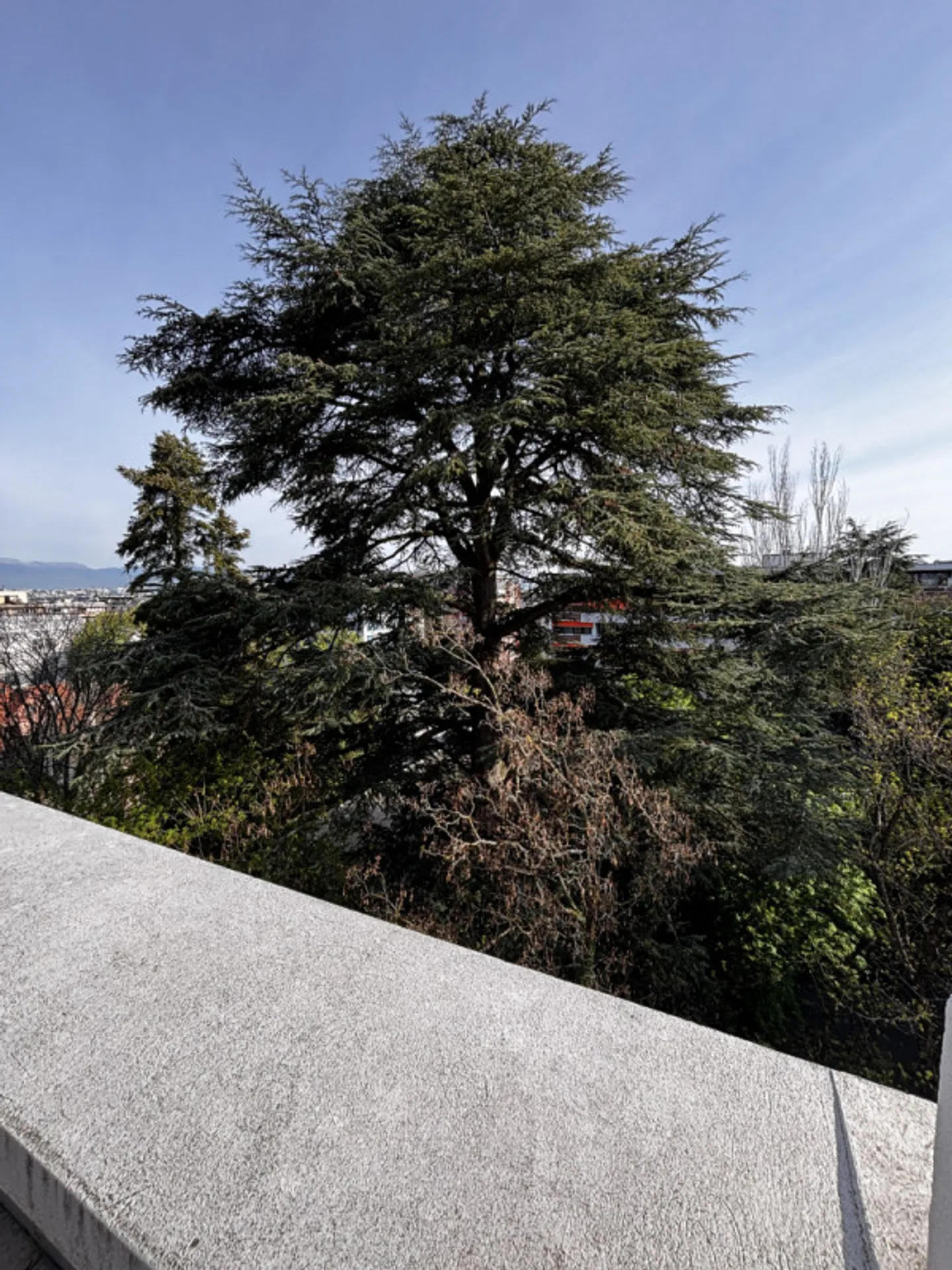 OFF-MARKET Rare penthouse in Champel 70m2 living space and 70m2 terrace to renovate - Photo 2 of 3