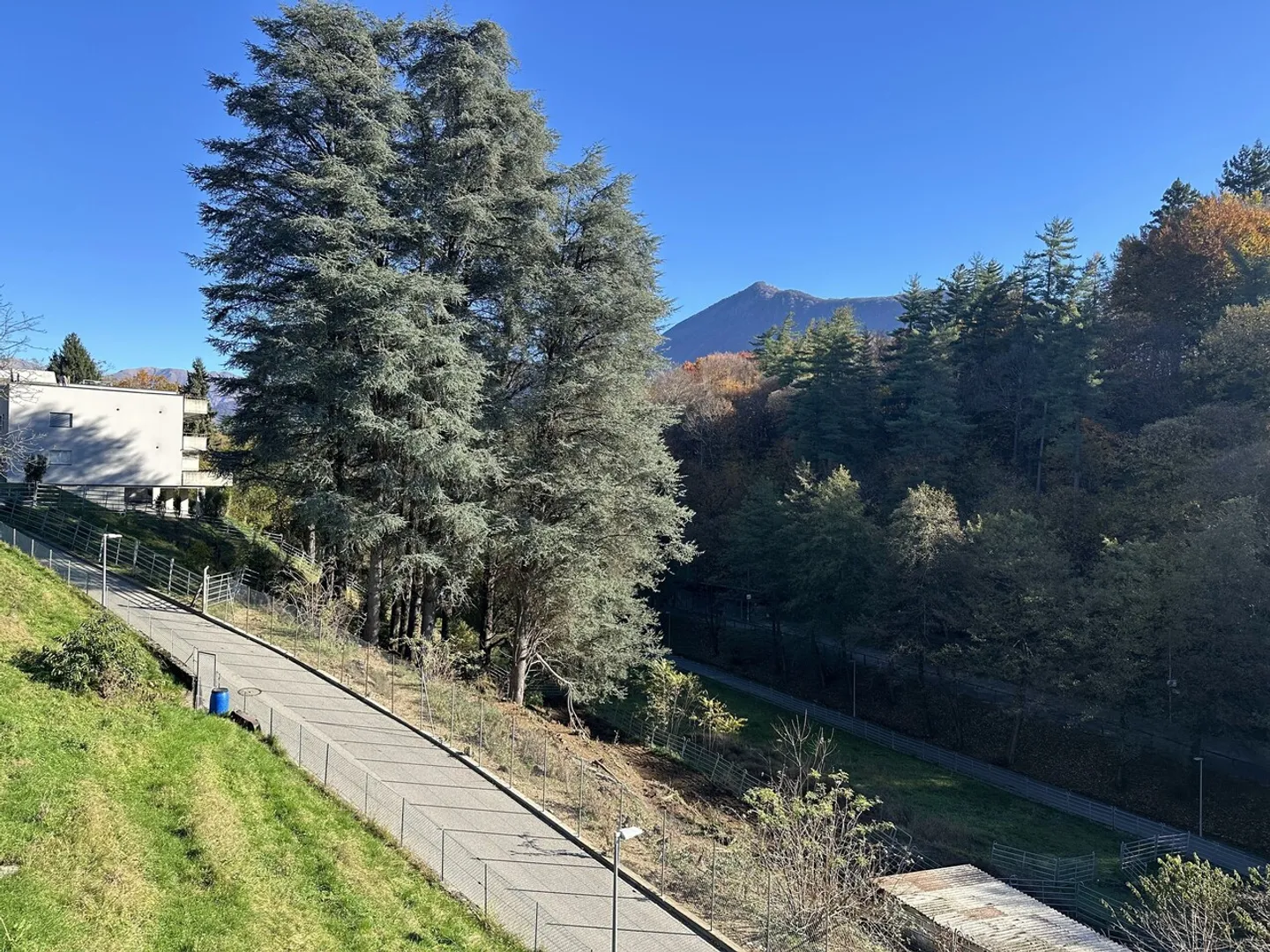 SAVOSA - Photo 8 sur 17