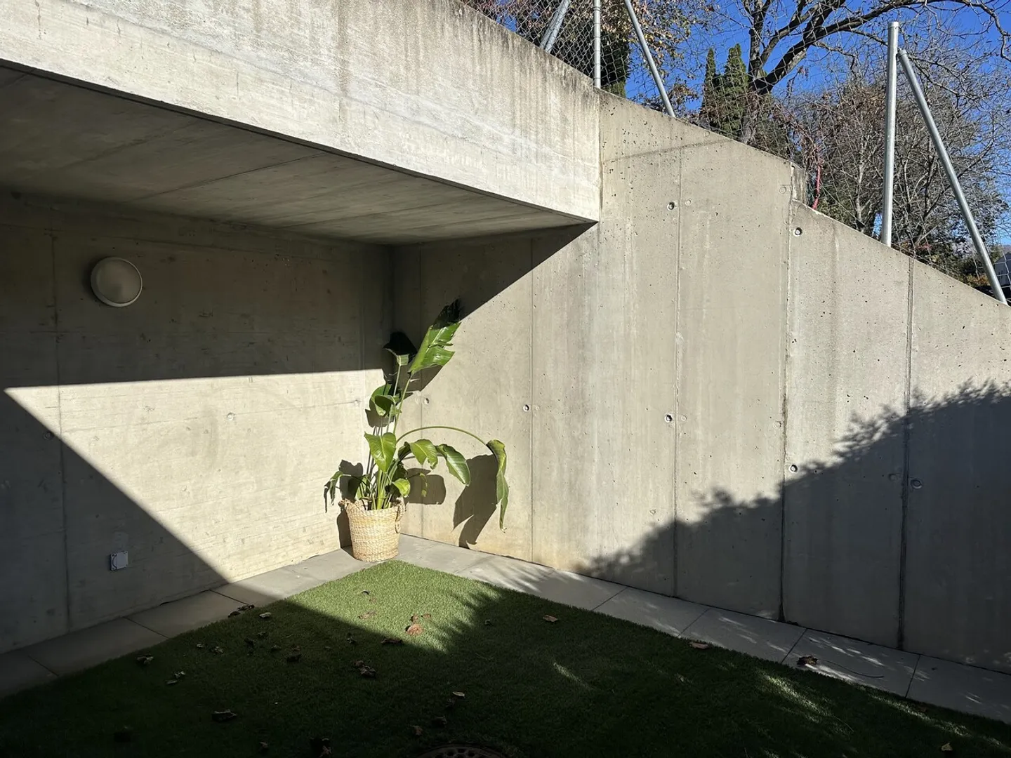 SAVOSA - Photo 9 sur 17