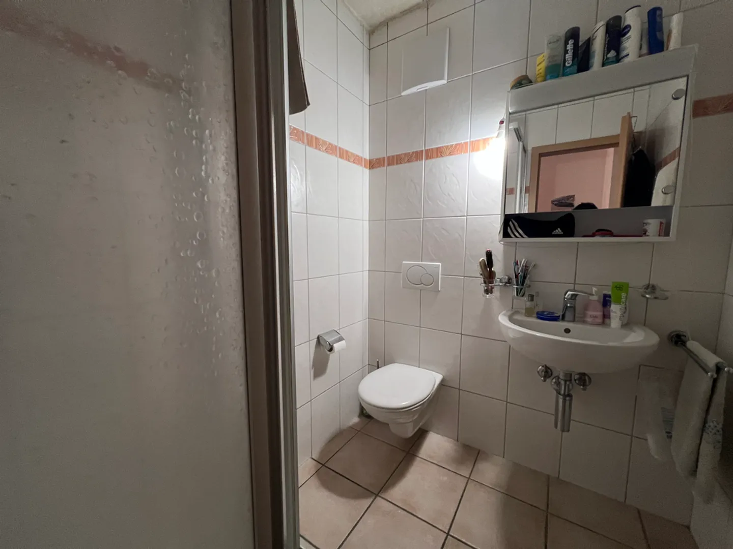 Appartamento 4.5 stanze - Foto 6 di 7