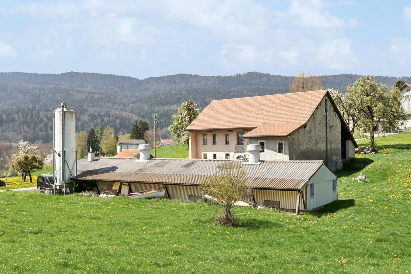 Rare: 19th Century Farm Close to Gland - Large Volume and Beautiful Potential - Photo 4 of 19