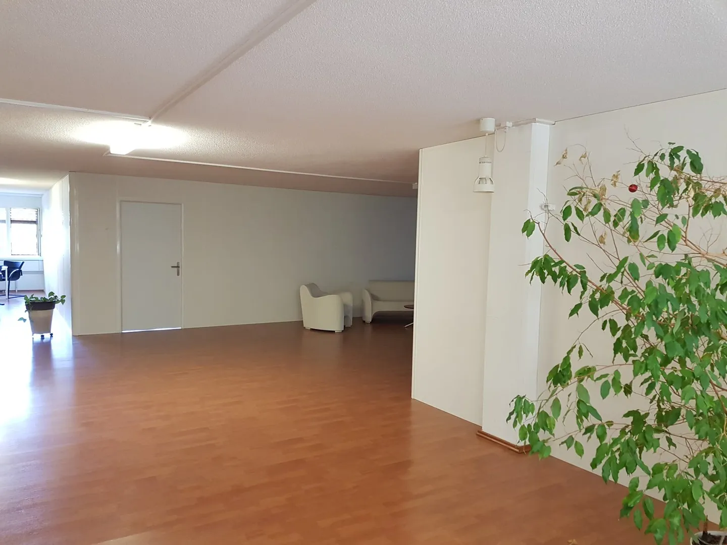 Bellissimi uffici e locali commerciali in affitto a Bösingen - Foto 3 di 5