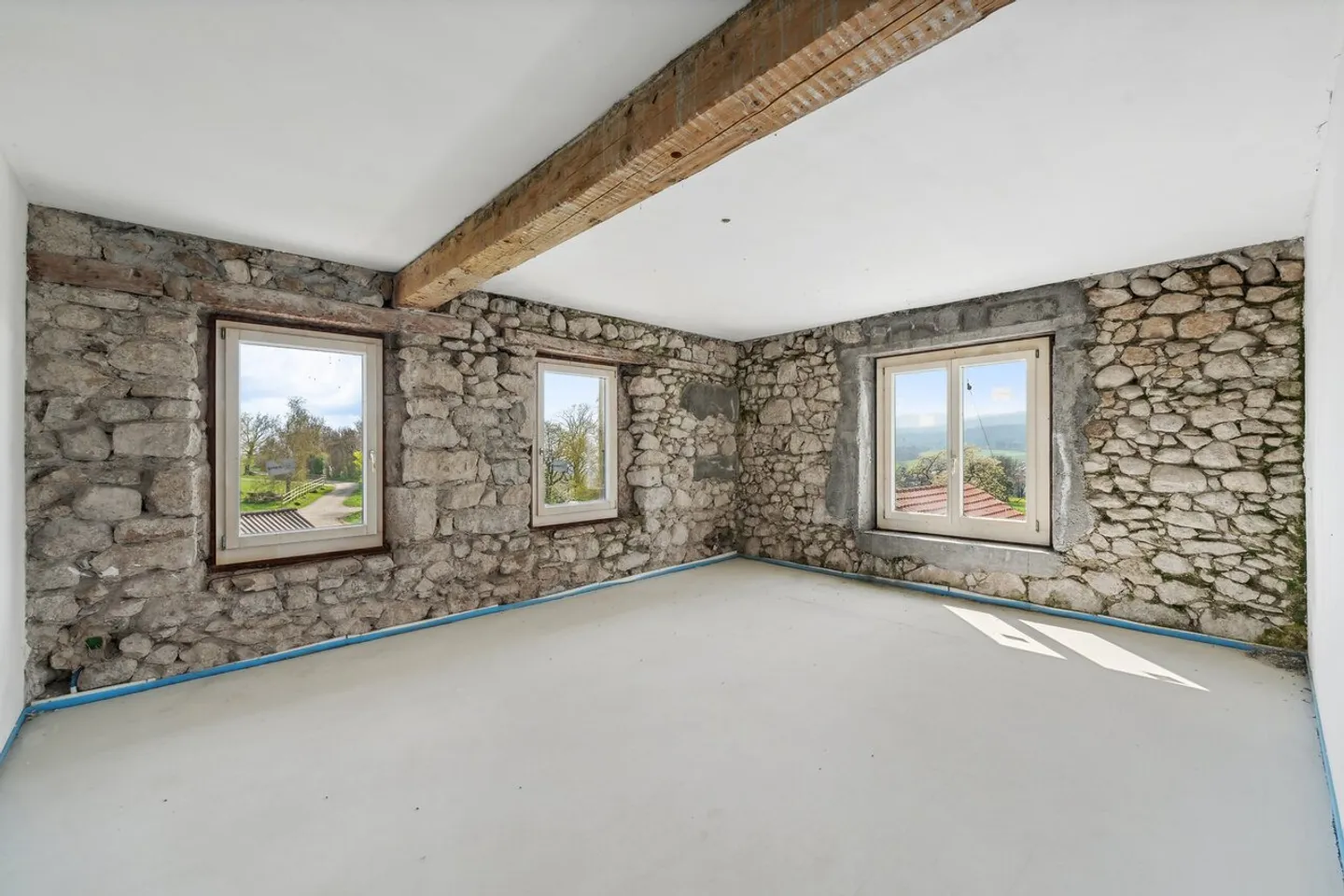 Rare: 19th Century Farm Close to Gland - Large Volume and Beautiful Potential - Photo 15 of 19