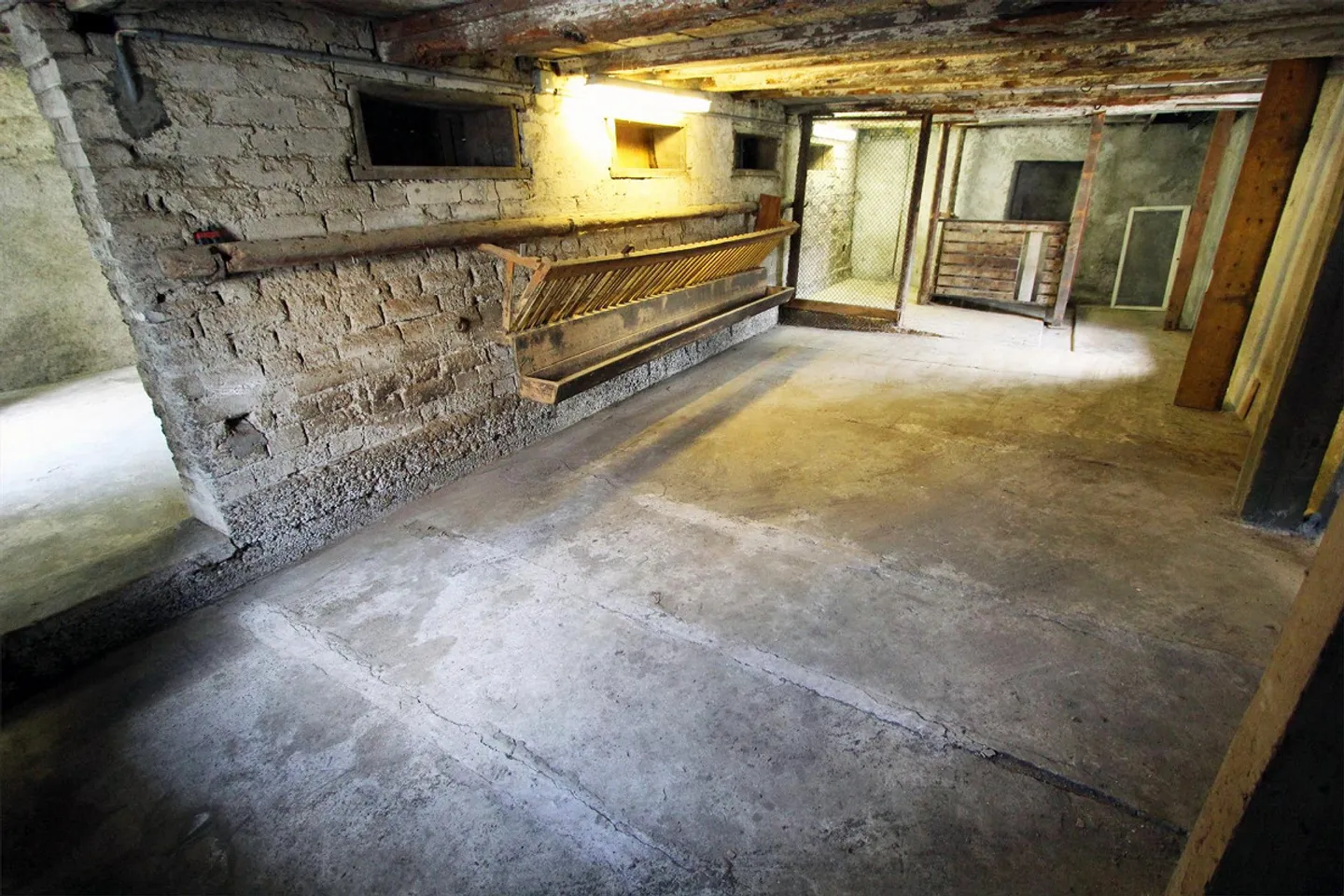 Fattoria da ristrutturare - Foto 14 di 18