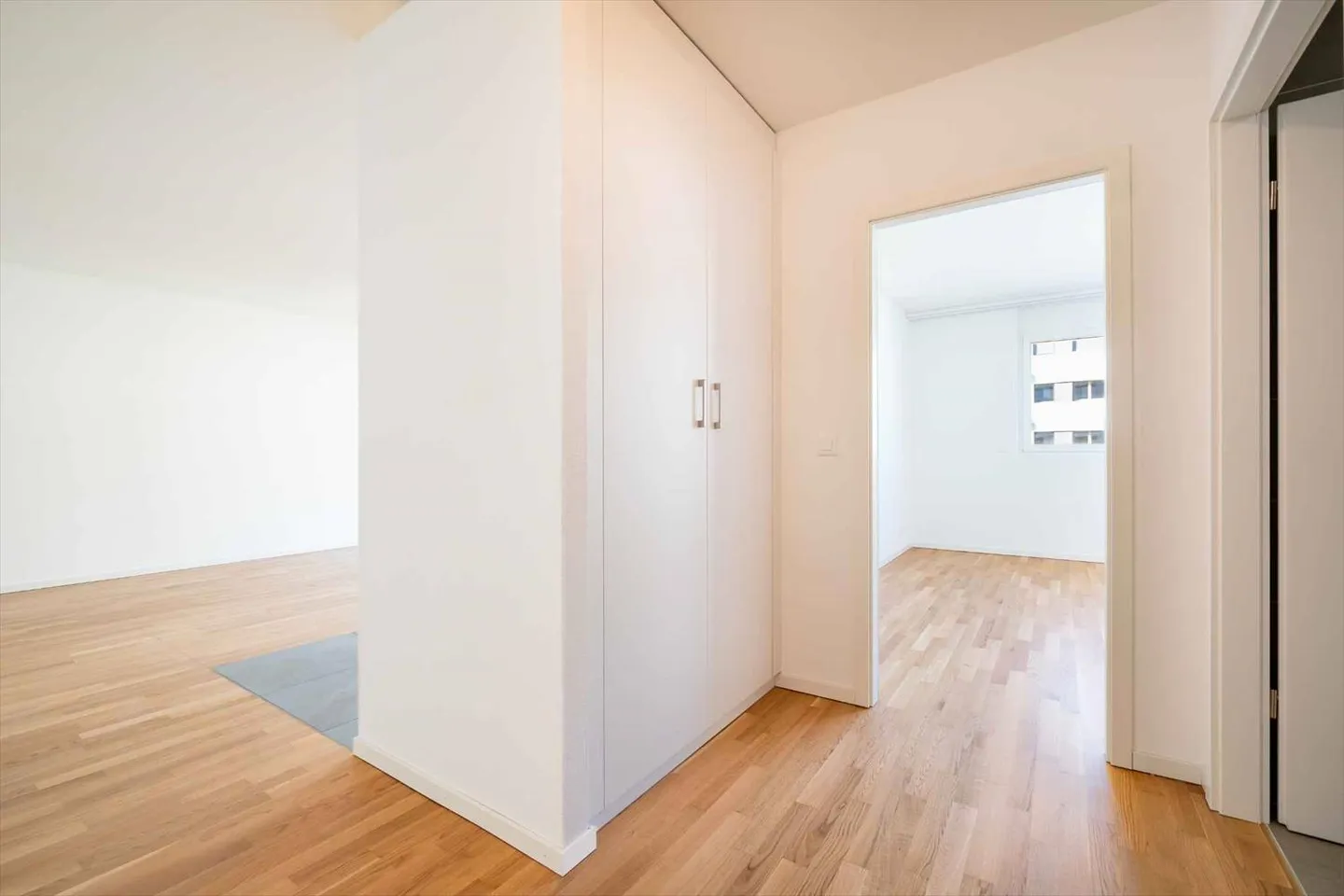 Spacious 2.5 rooms with balcony, close to the lake and universities - Photo 3 of 6