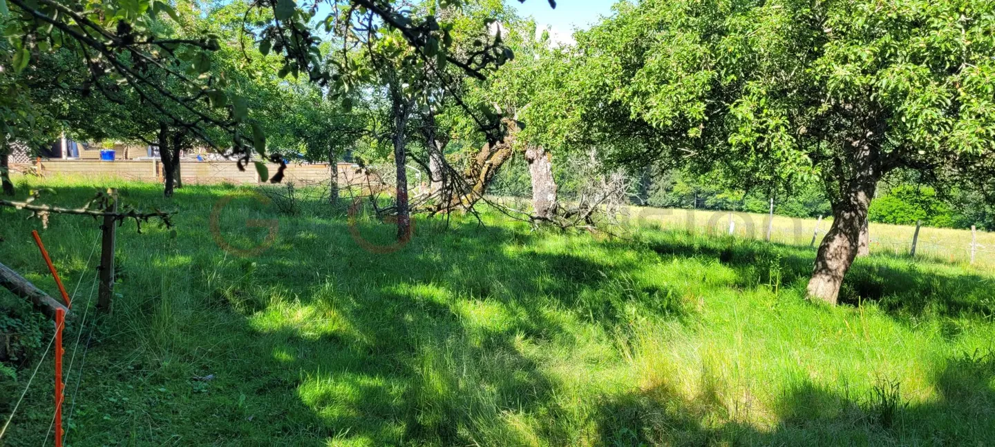 Ancienne ferme et dépendances sur un terrain de 7160 m2 à Oron-le-Châtel - Photo 6 sur 11