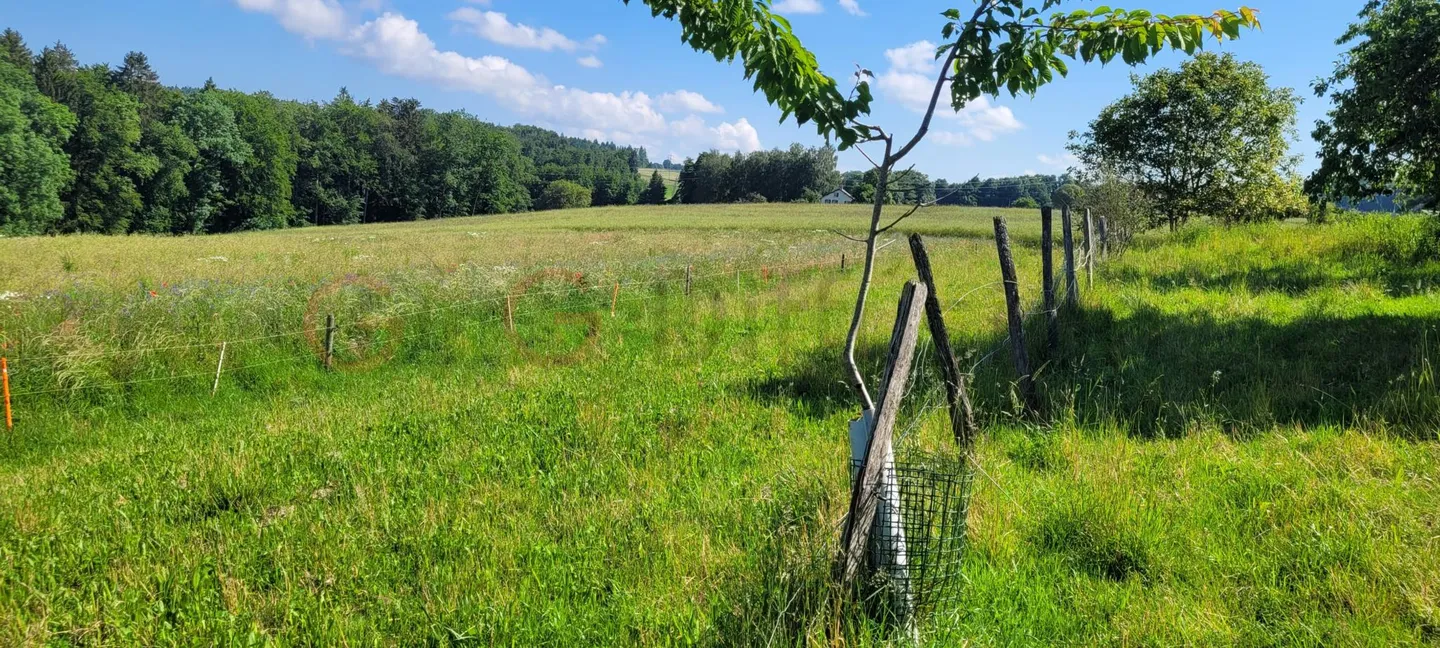 Ancienne ferme et dépendances sur un terrain de 7160 m2 à Oron-le-Châtel - Photo 7 sur 11