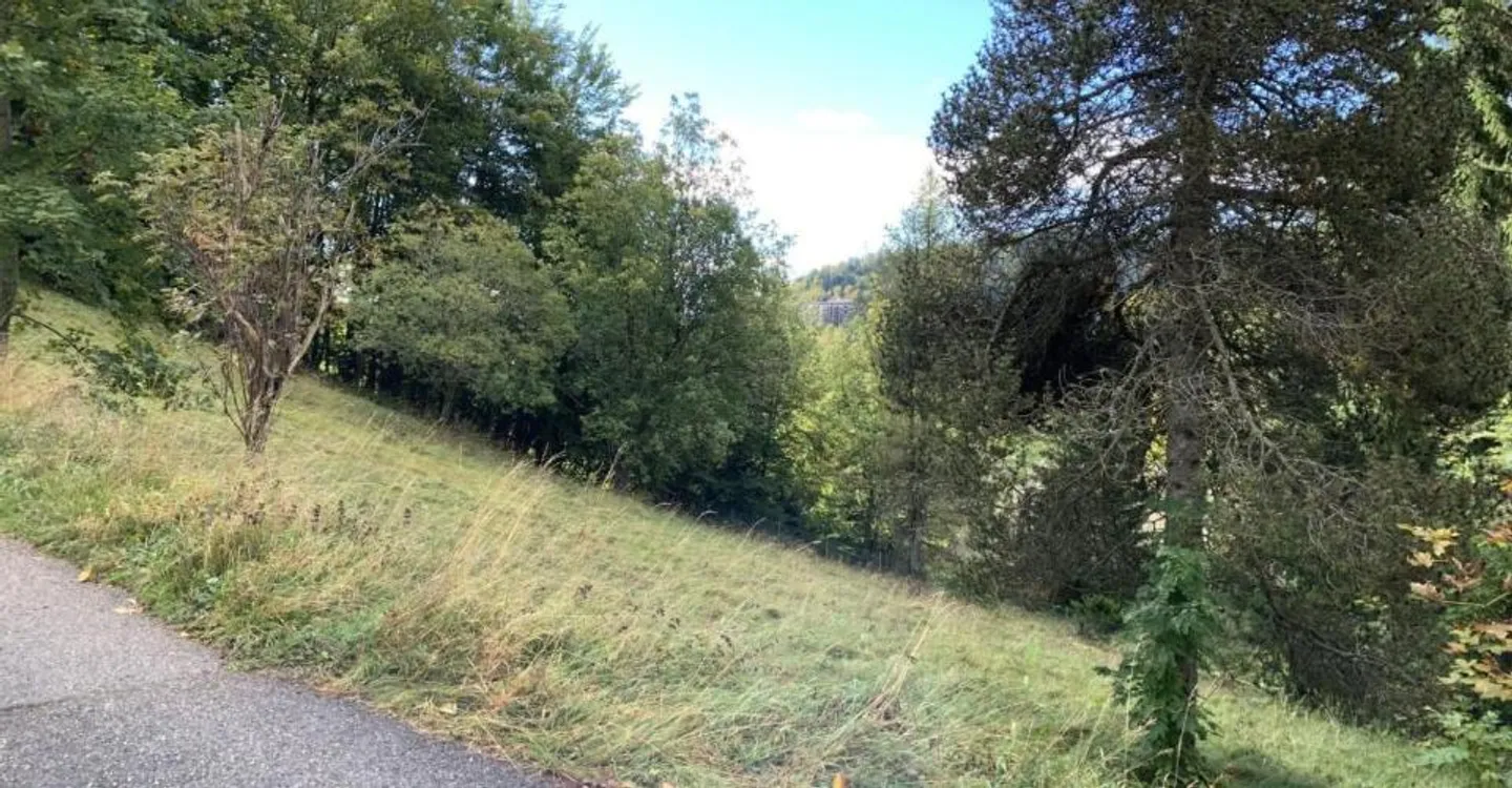 Terreno a St-Cergue - Foto 2 di 6