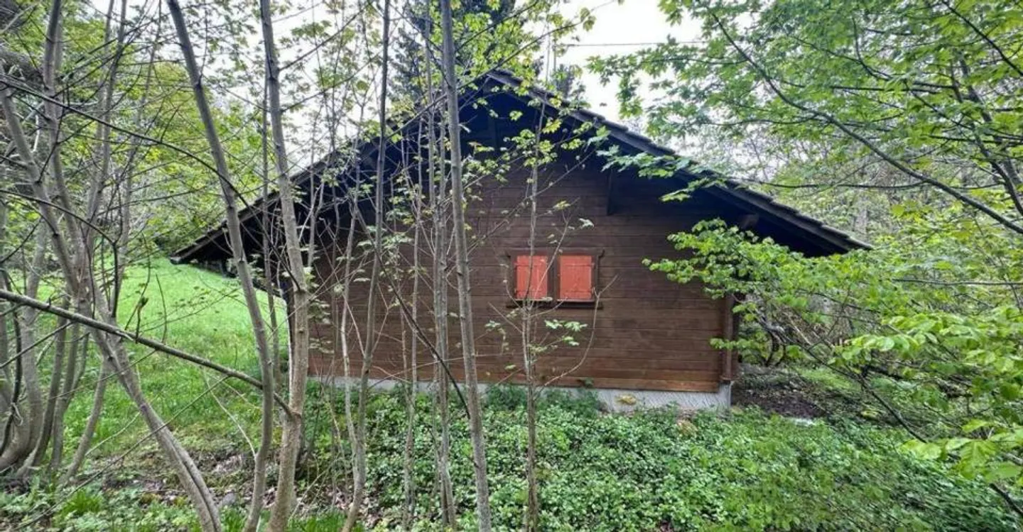 Terreno a St-Cergue - Foto 3 di 6