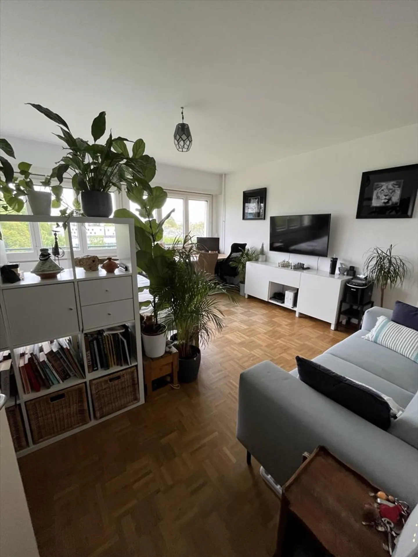 Studio 32 m2 in Versoix - Photo 4 of 7