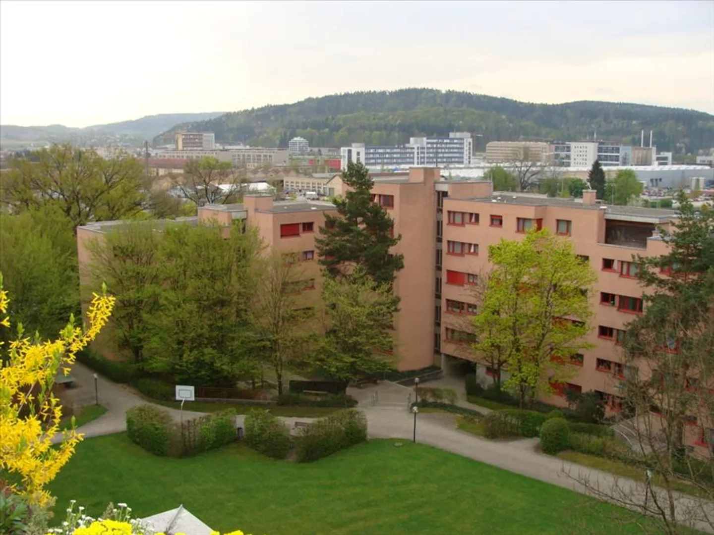 Geräumige Wohnung in Oberwinterthur - Foto 1 von 7
