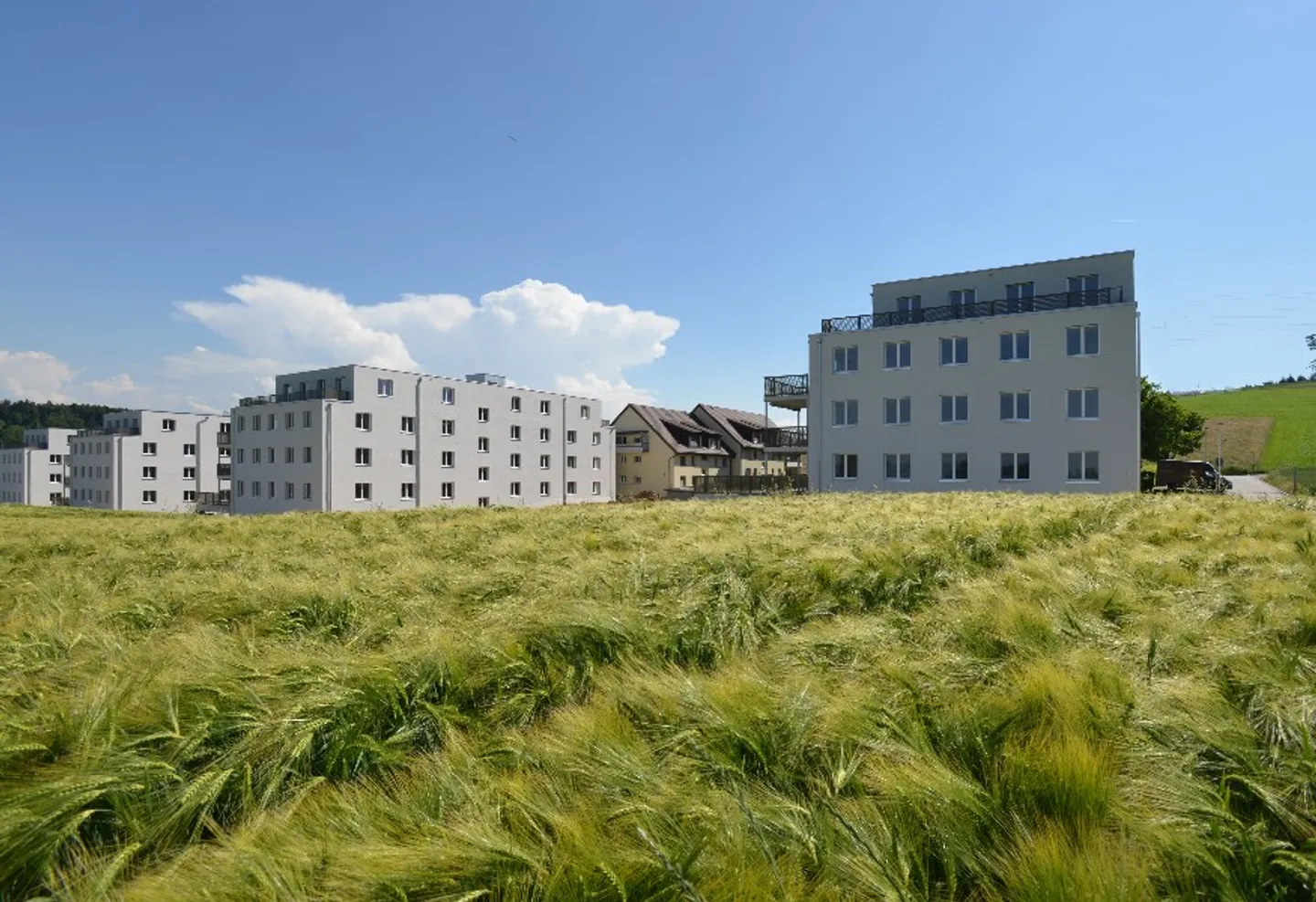 Vivere a Niederwangen - Affittare senza deposito - Foto 1 di 5