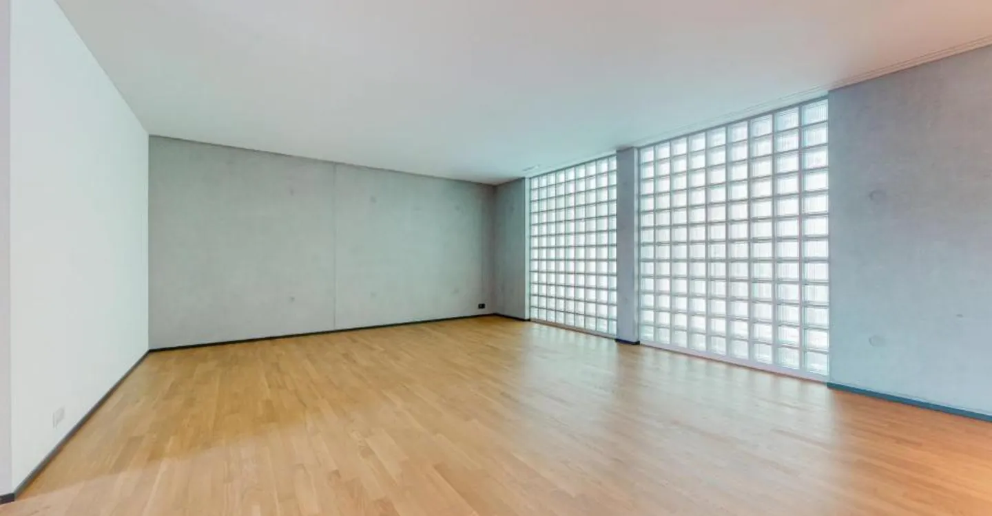 Modern Apartment in Emmenbrücke - Photo 3 of 8