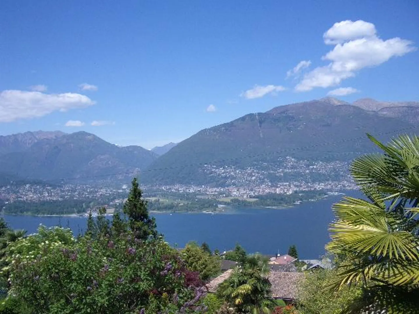 Terreno edificabile a Gambarogno con vista spettacolare - Foto 2 di 7