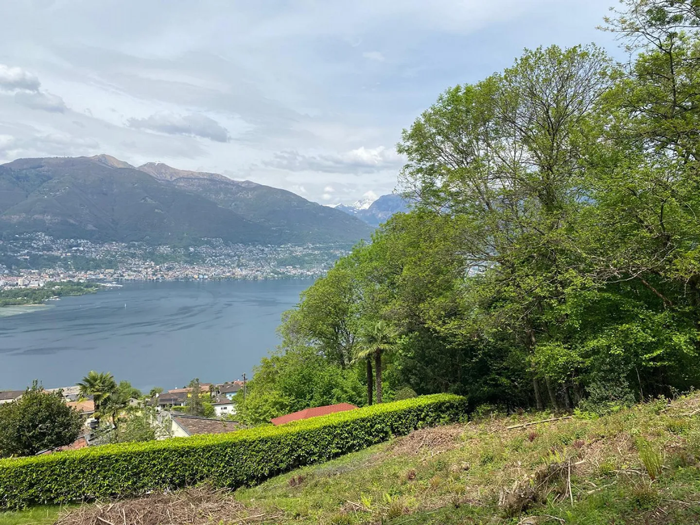 Terreno edificabile a Gambarogno con vista spettacolare - Foto 4 di 7