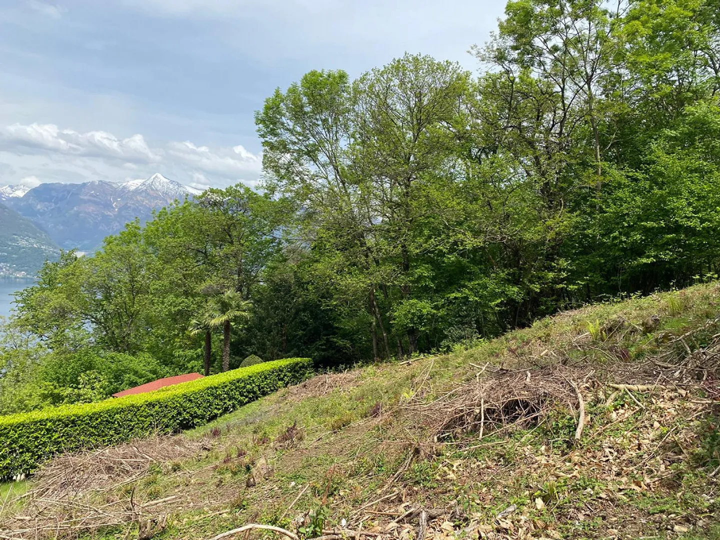 Terreno edificabile a Gambarogno con vista spettacolare - Foto 5 di 7