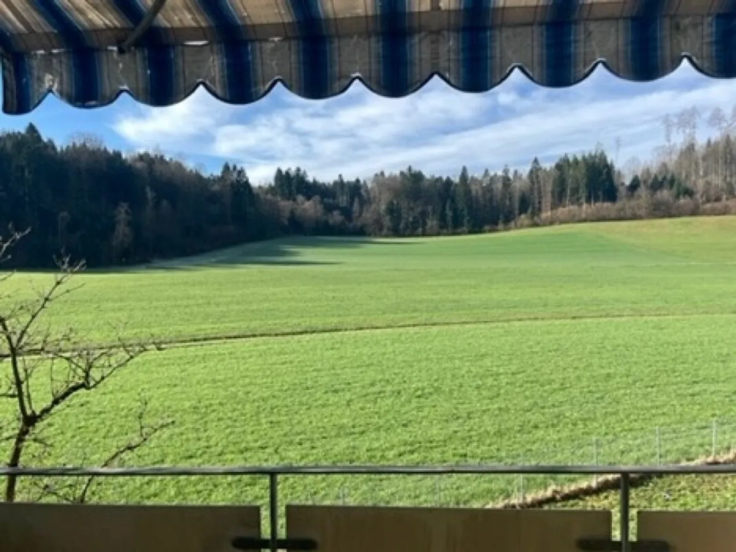 Charmante Wohnung mit Balkon - Foto 4 von 7