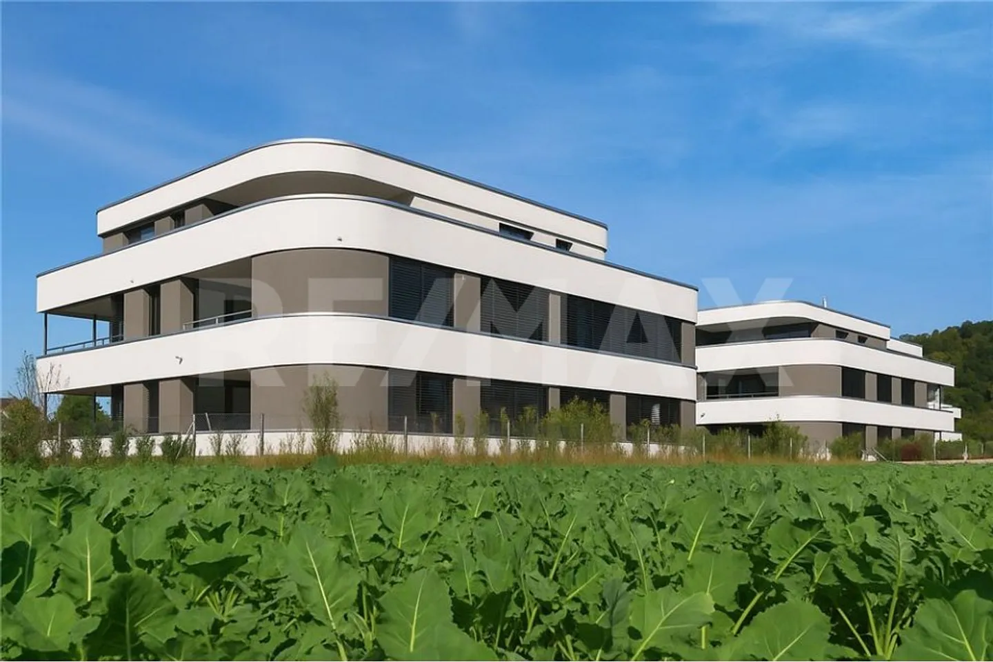 Annuncio del progetto: Vita moderna in un ambiente verde - Foto 5 di 7