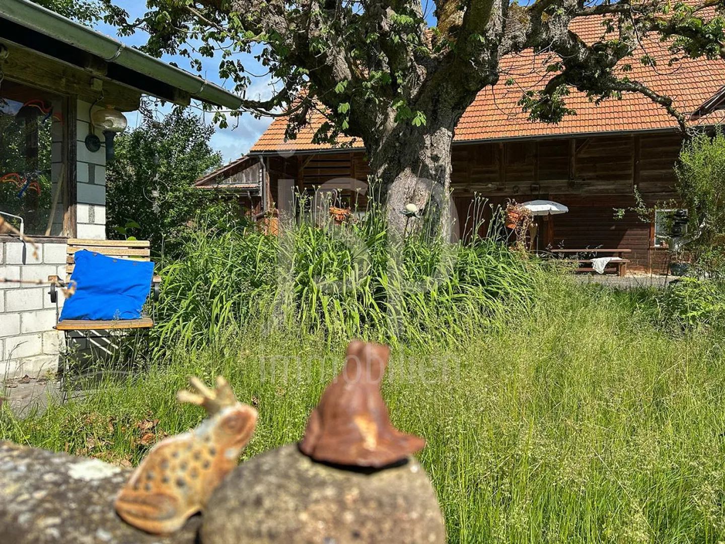 Well-kept farmhouse with 3,397m2 plot - Photo 7 of 25