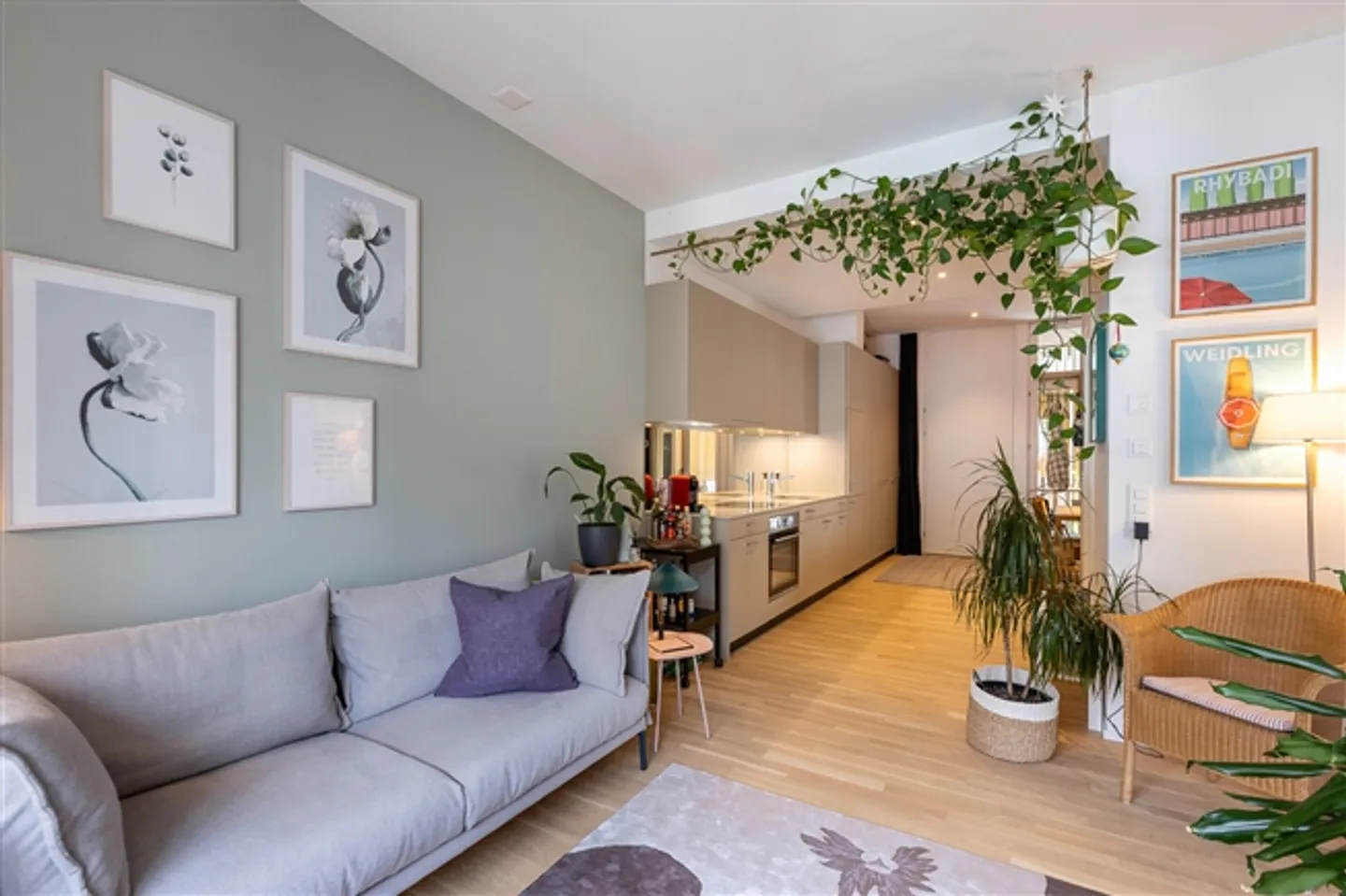 1½ STANZA APPARTAMENTO A SCHAFFHAUSEN, ARREDATO, TEMPORANEO - Foto 1 di 9