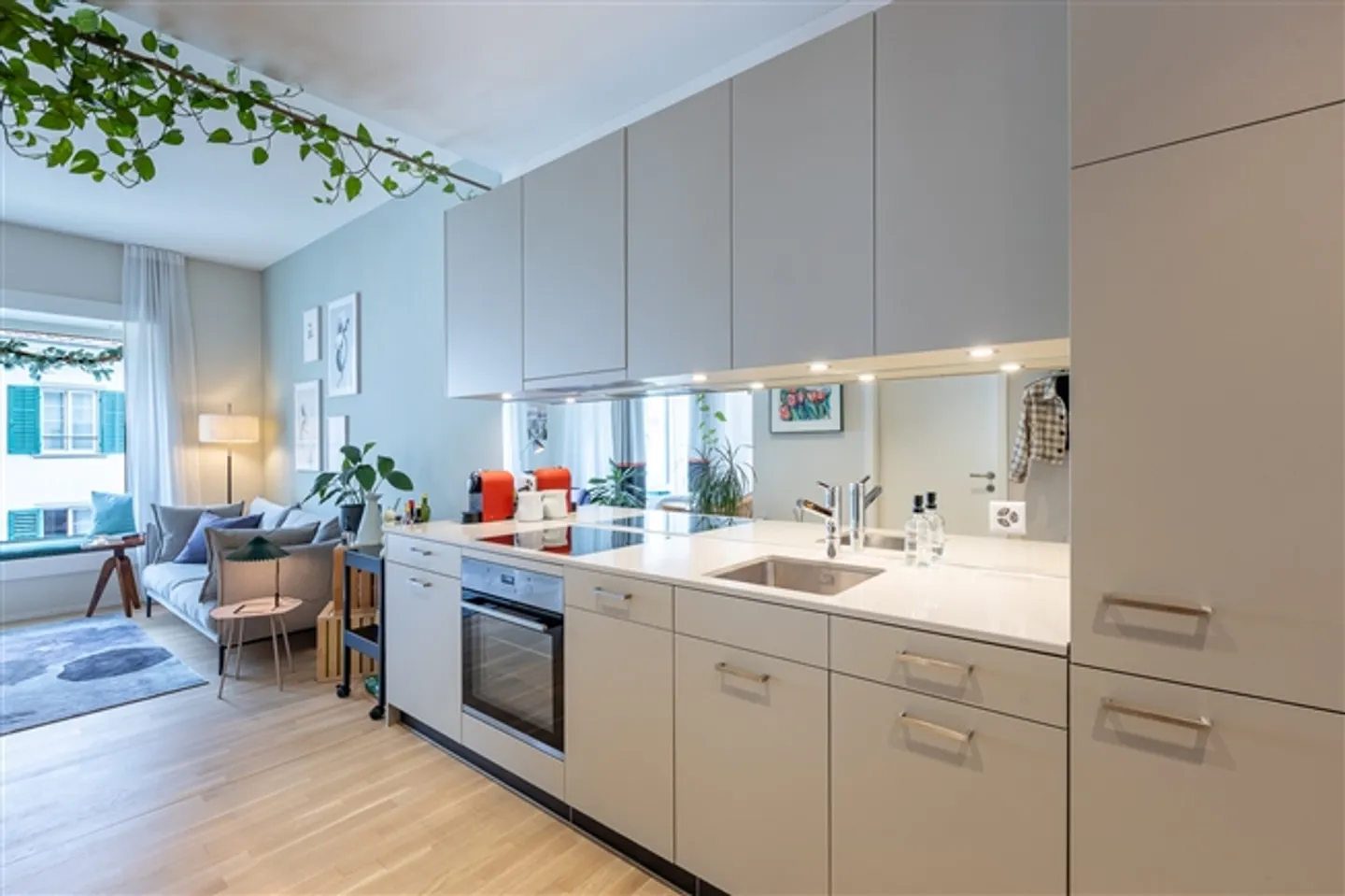 1½ STANZA APPARTAMENTO A SCHAFFHAUSEN, ARREDATO, TEMPORANEO - Foto 4 di 9