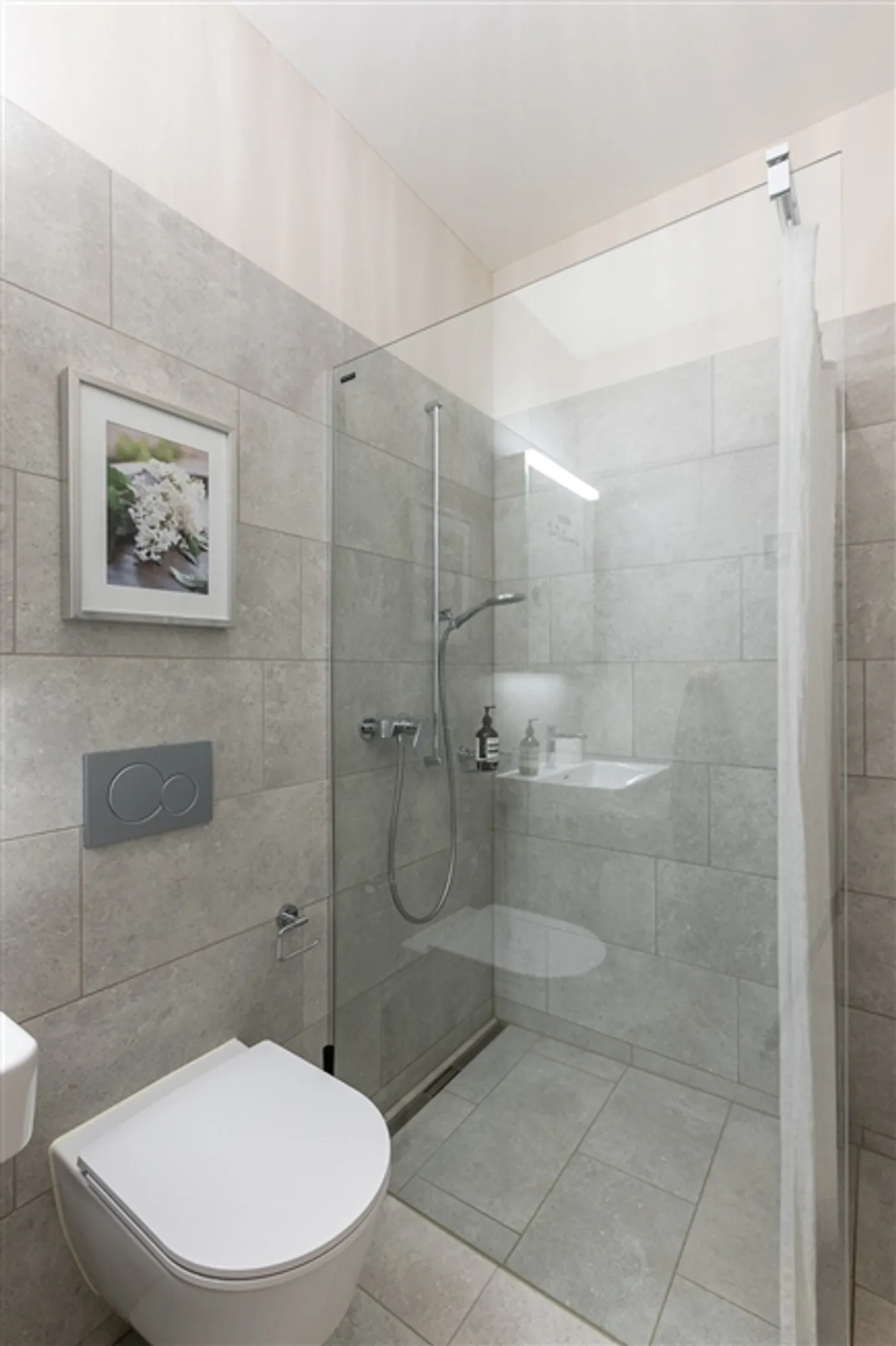 1½ STANZA APPARTAMENTO A SCHAFFHAUSEN, ARREDATO, TEMPORANEO - Foto 8 di 9