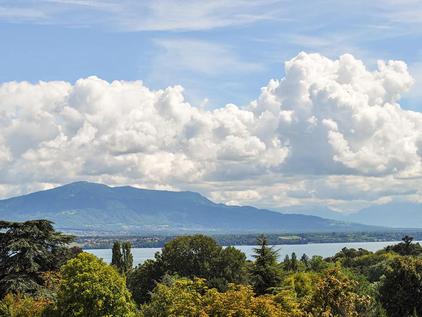 Casa 7 stanze - Foto 1 di 3