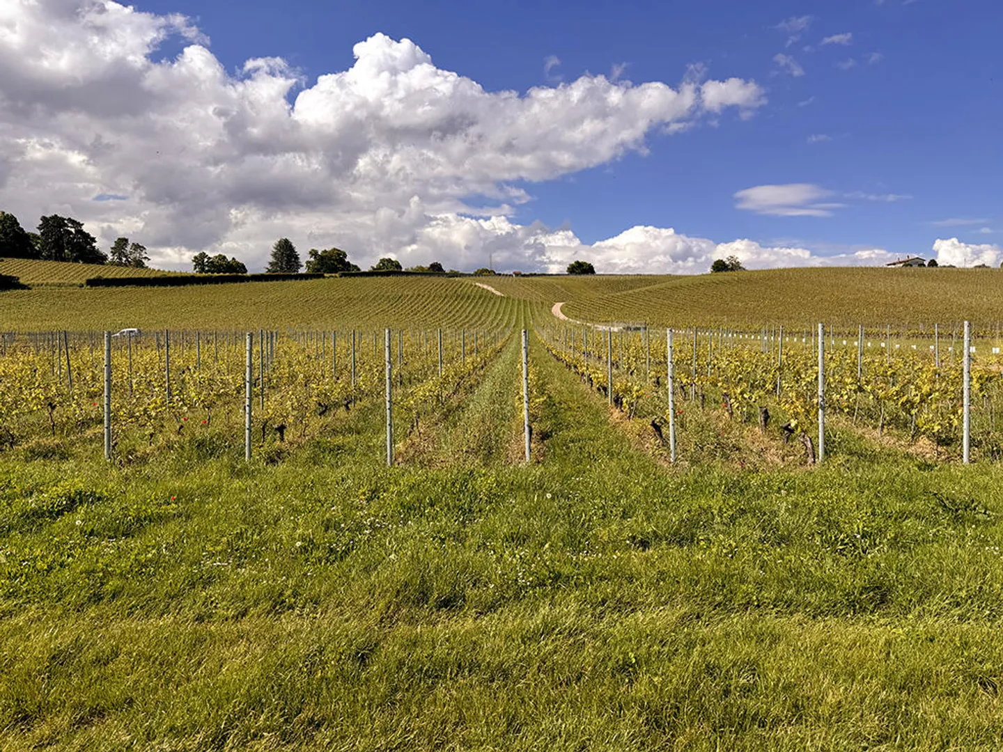 8-Zimmer-Haus - Foto 2 von 3