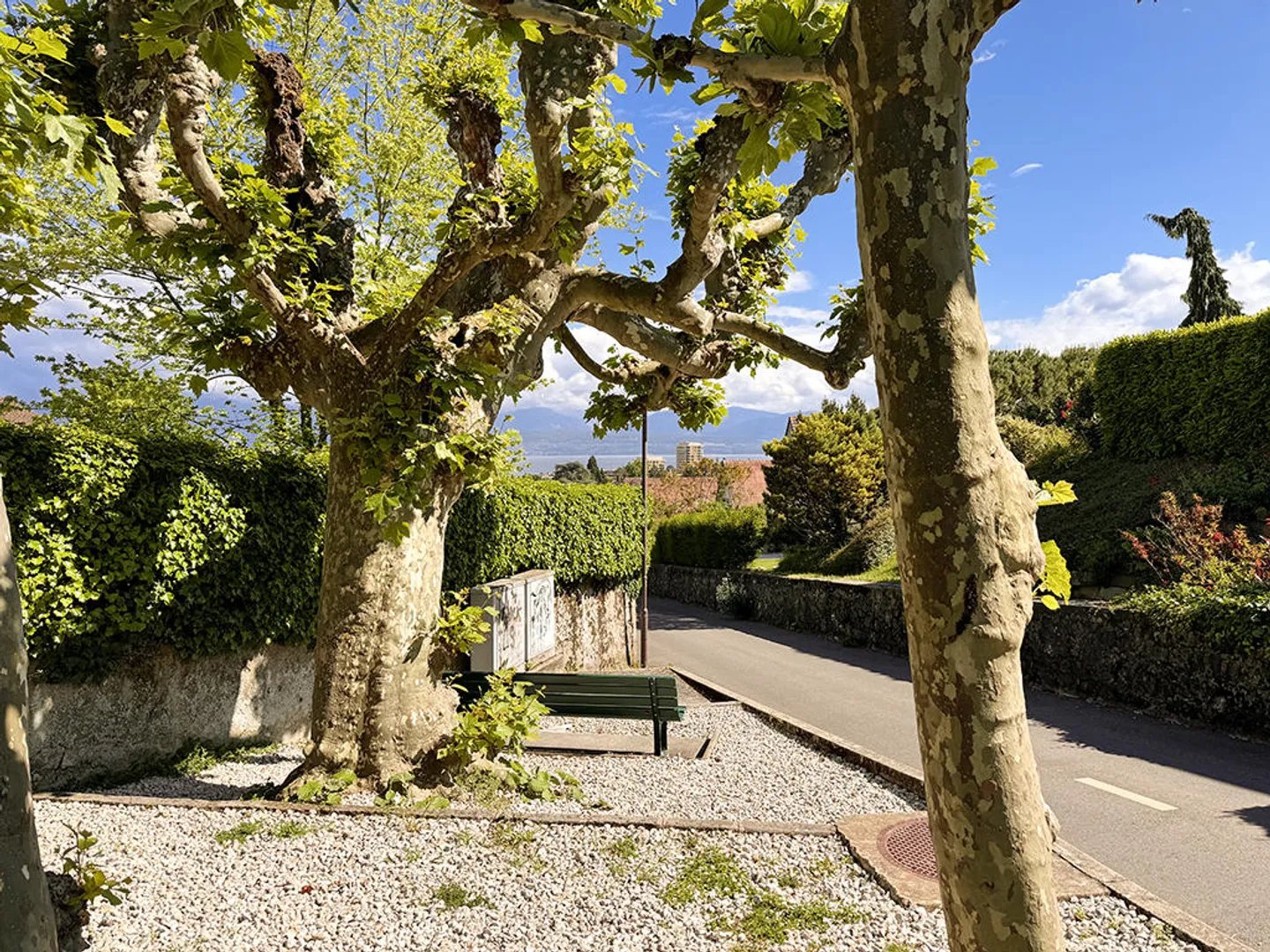 8-Zimmer-Haus - Foto 3 von 3