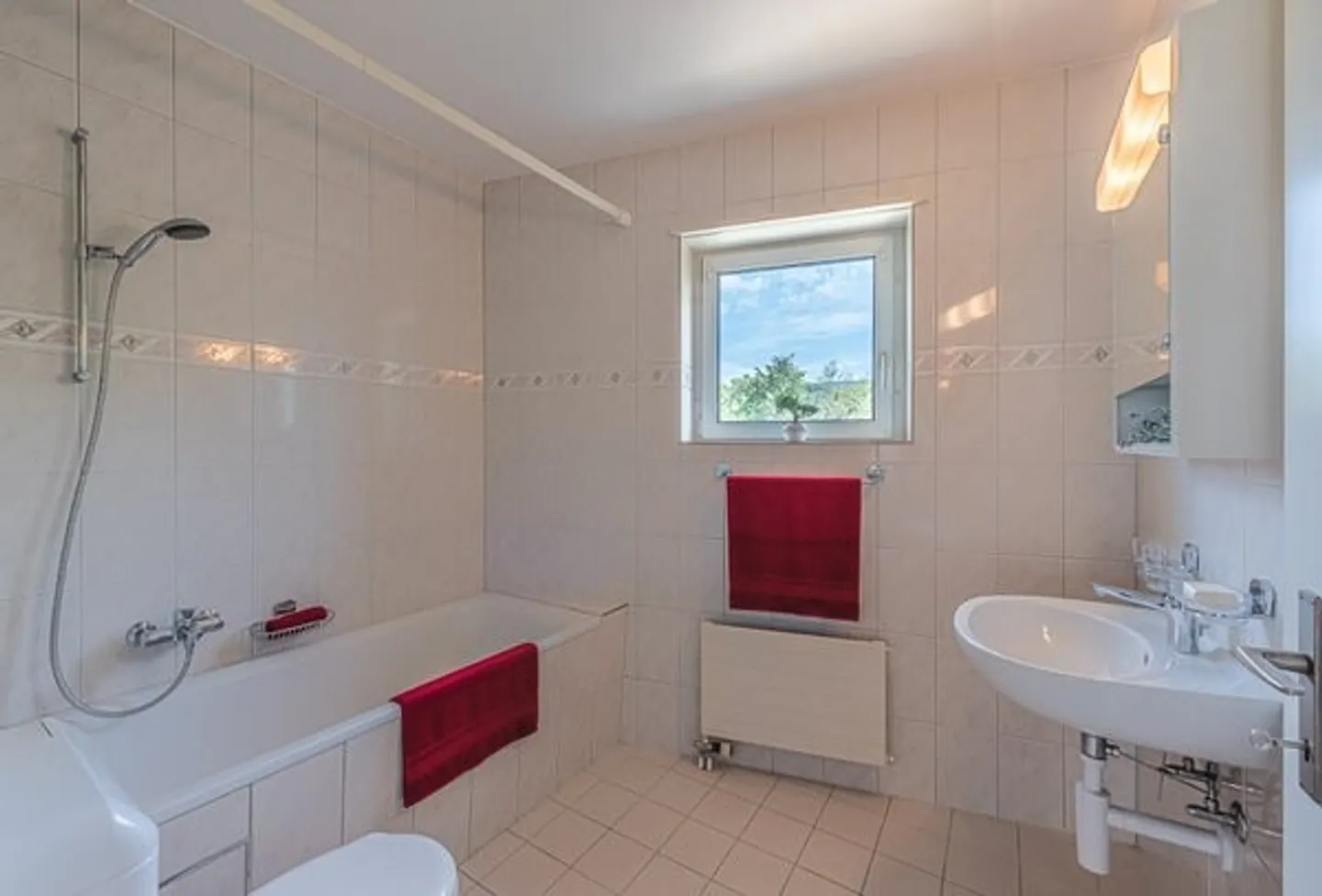 3.5 room apartment between the train station and the Birs - Photo 3 of 8